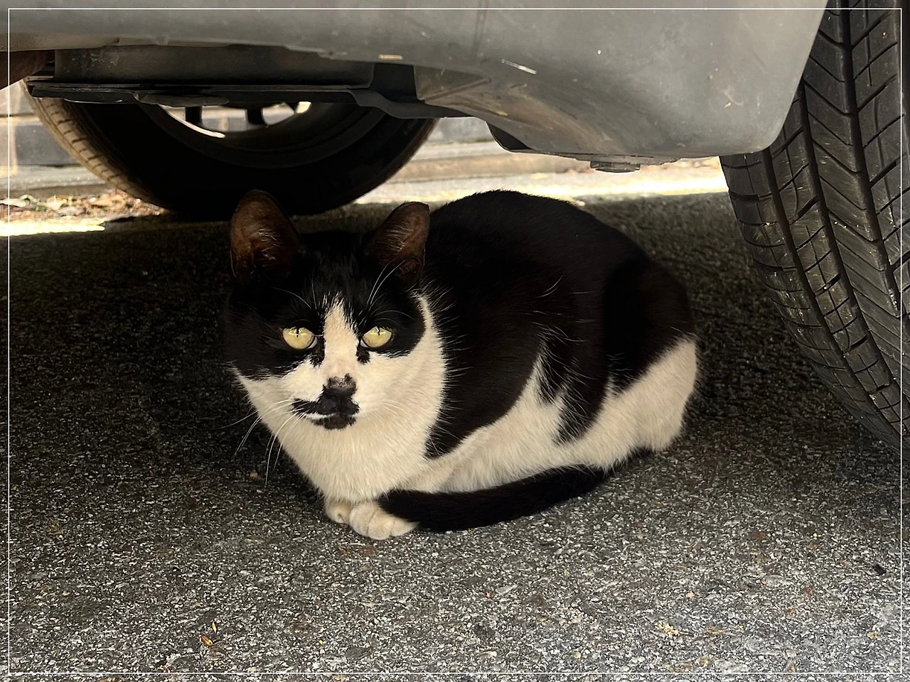 IMG_3605.jpg?type=w1600