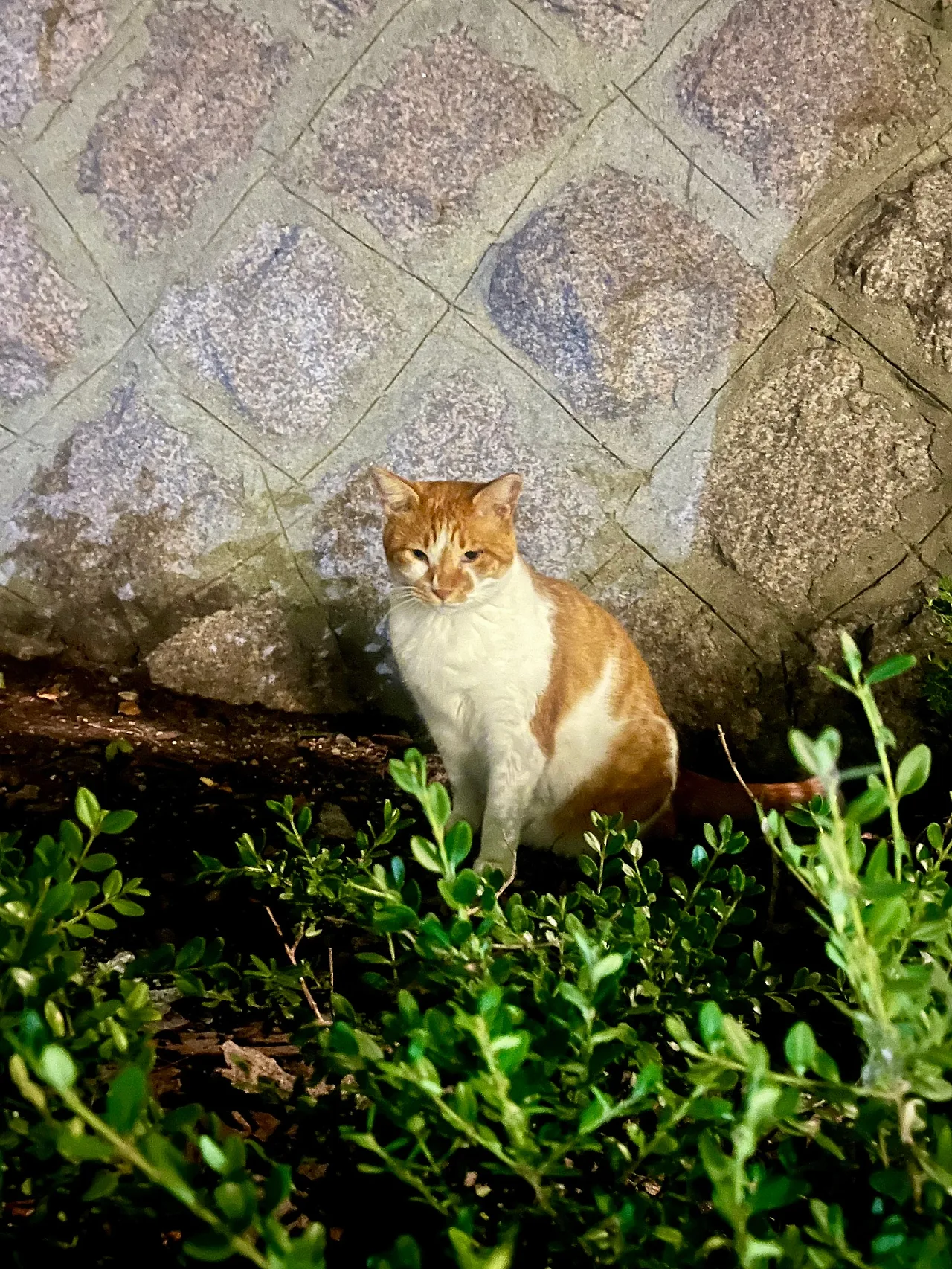 IMG%EF%BC%BF1416.jpg?type=w1600