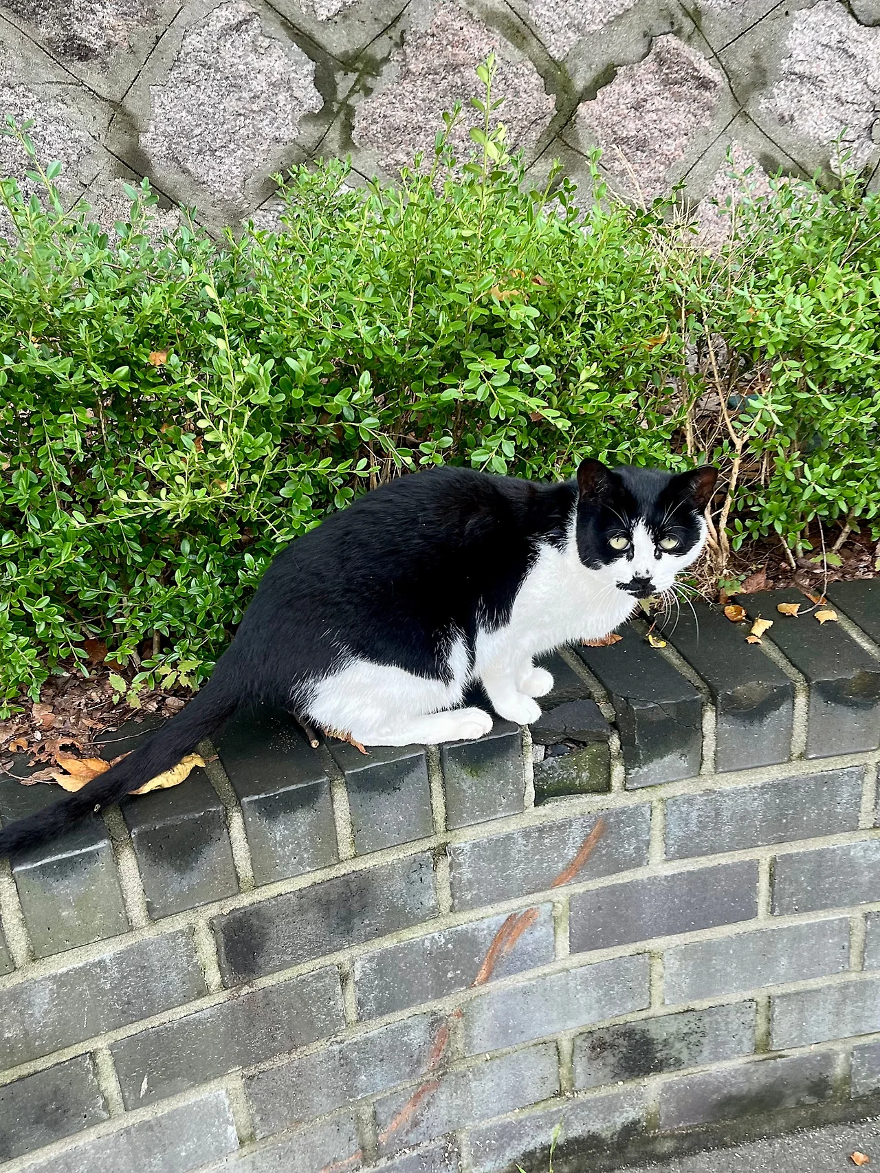 IMG%EF%BC%BF2299.jpg?type=w1600