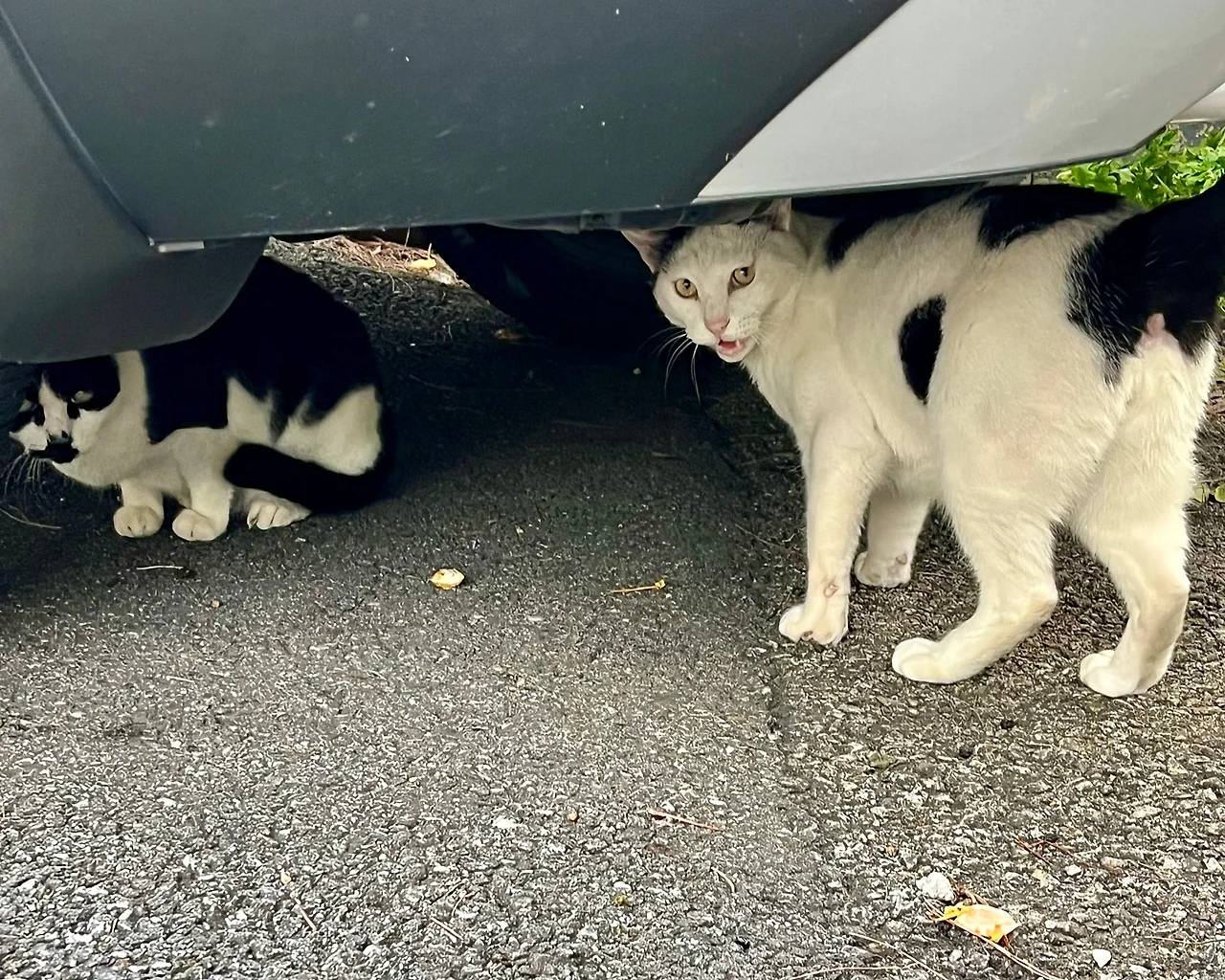 IMG%EF%BC%BF1893.jpg?type=w1600