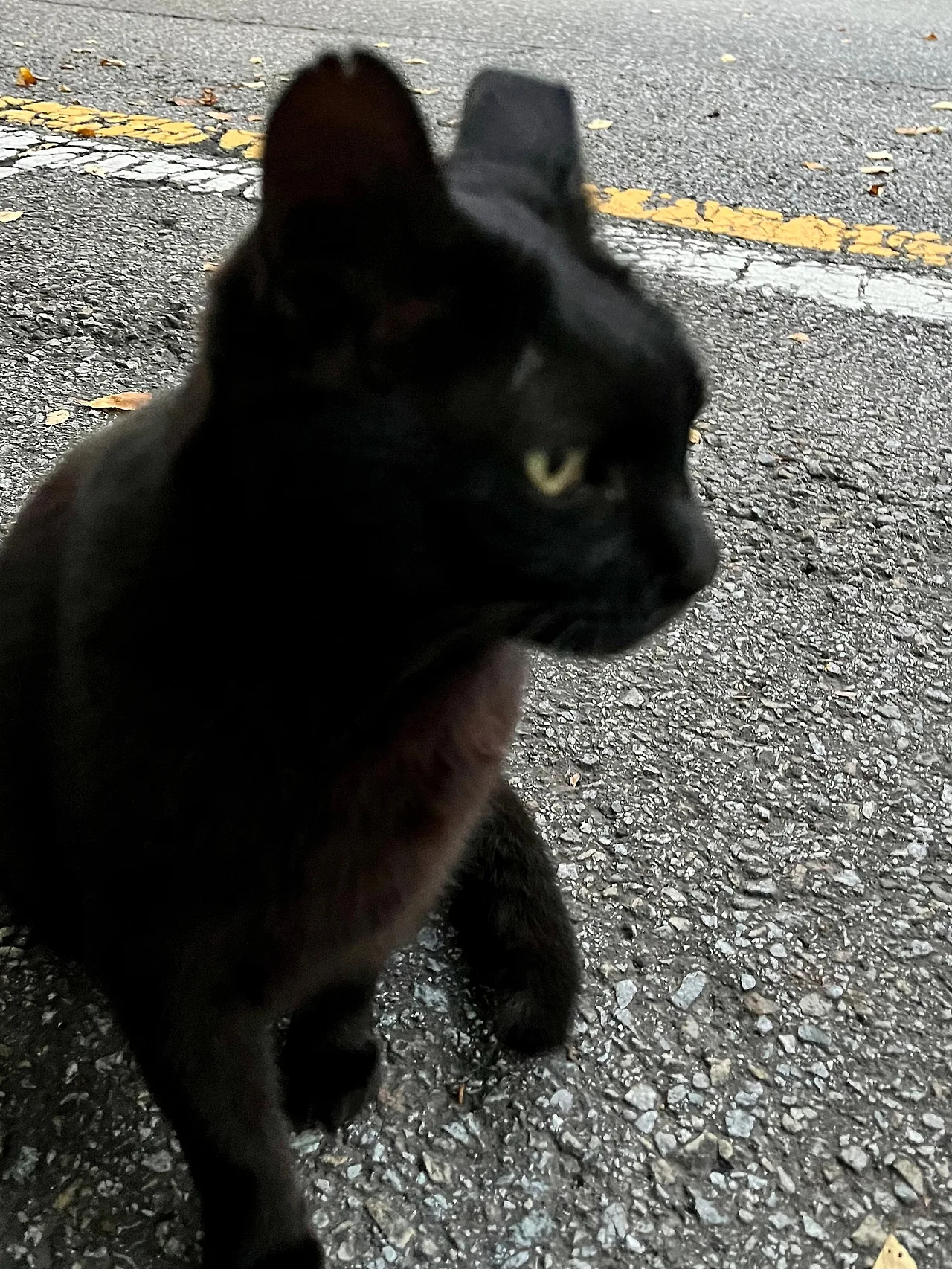 IMG%EF%BC%BF3525.jpg?type=w1600