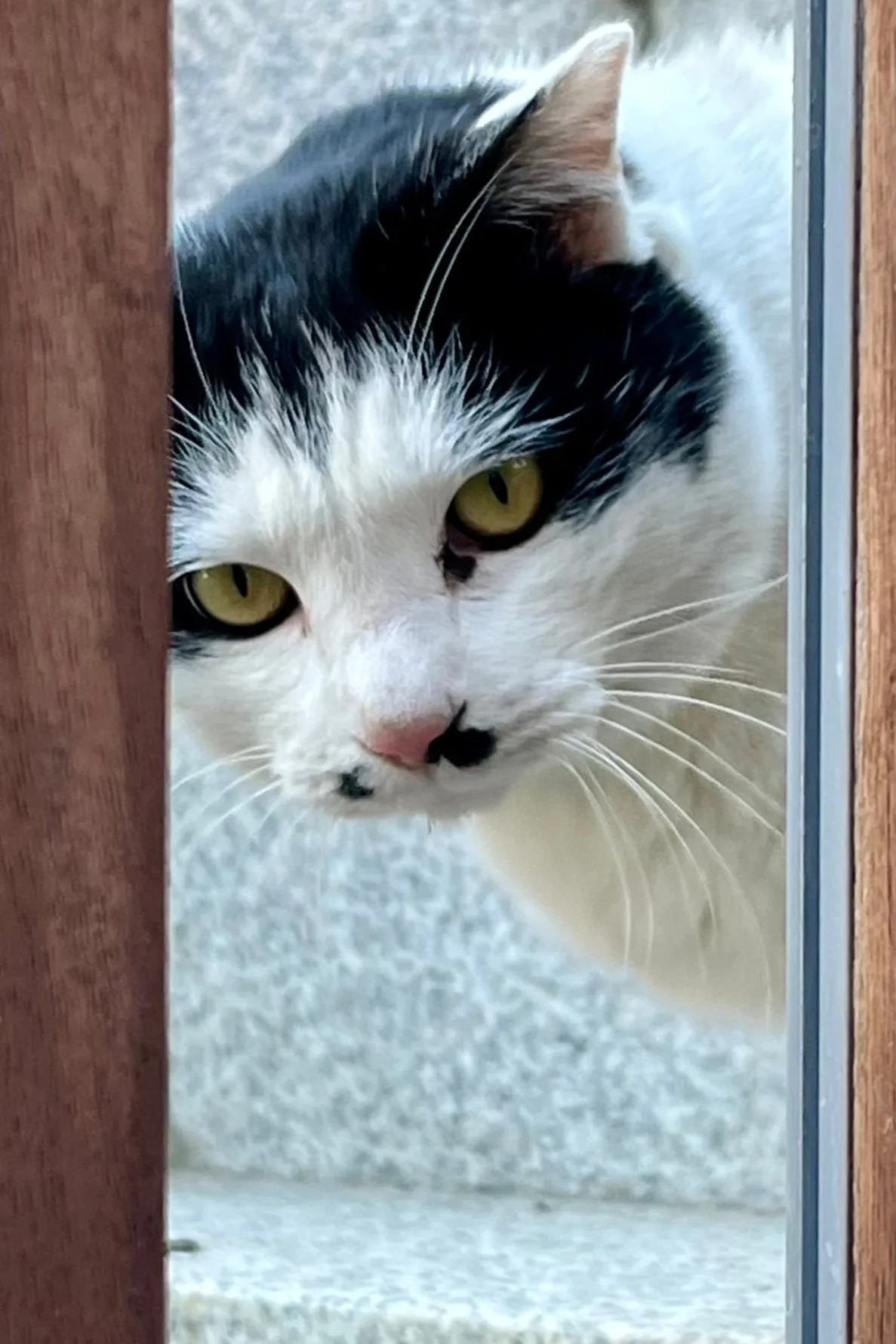 SE-620DA269-C465-465D-9F10-39C691E5D803.jpg?type=w1600