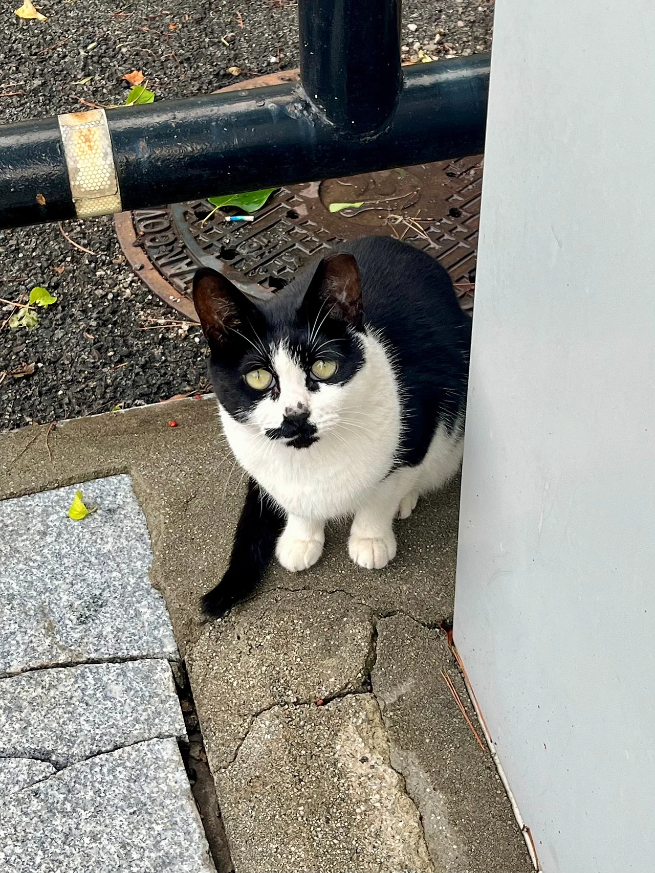 IMG%EF%BC%BF1635.jpg?type=w1600