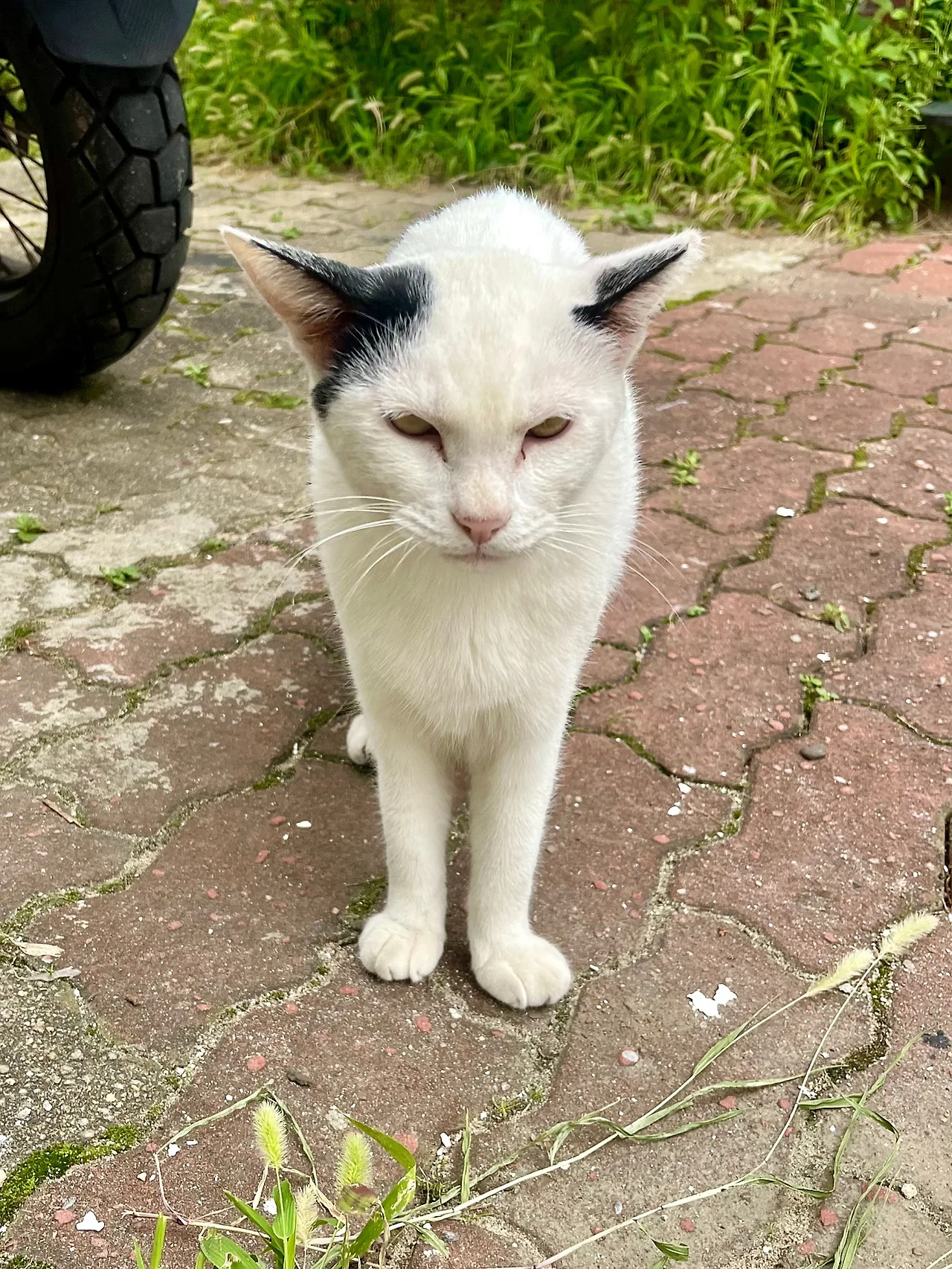 IMG%EF%BC%BF1110.jpg?type=w1600