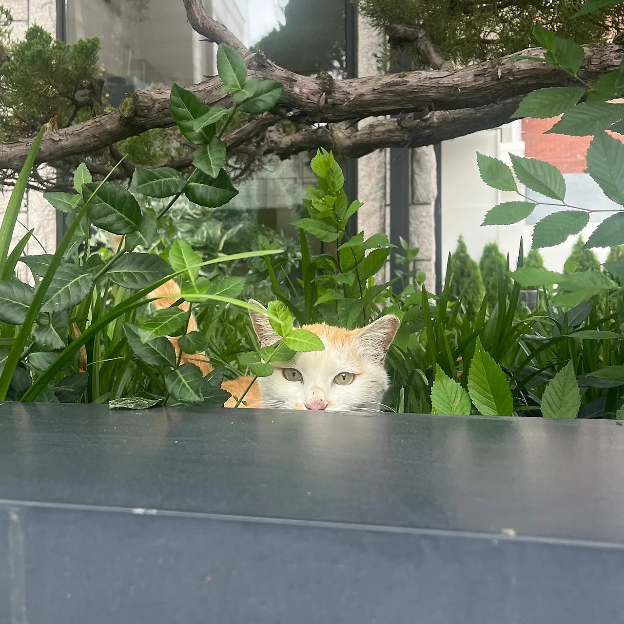 IMG_4710.jpg?type=w1600