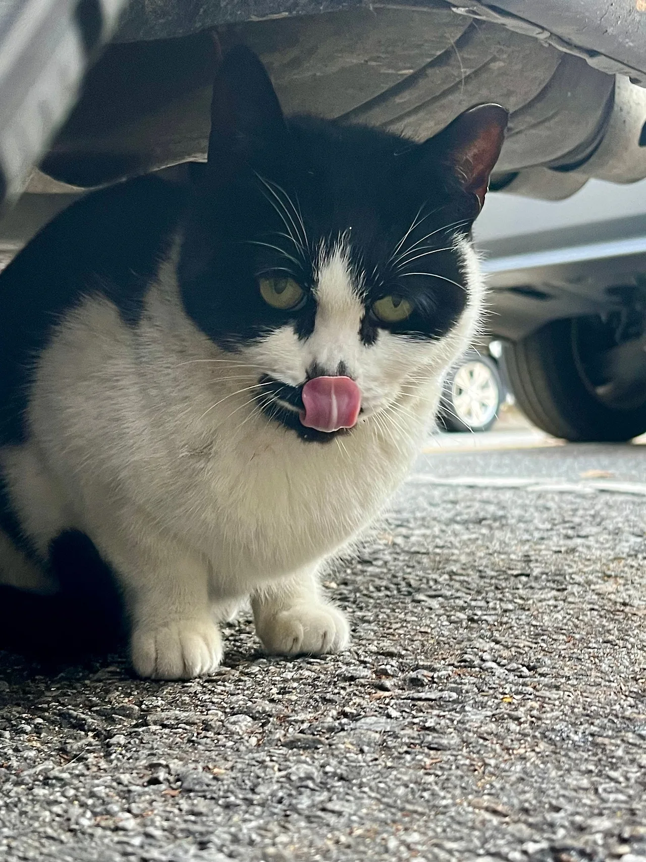 IMG%EF%BC%BF9144.jpg?type=w1600