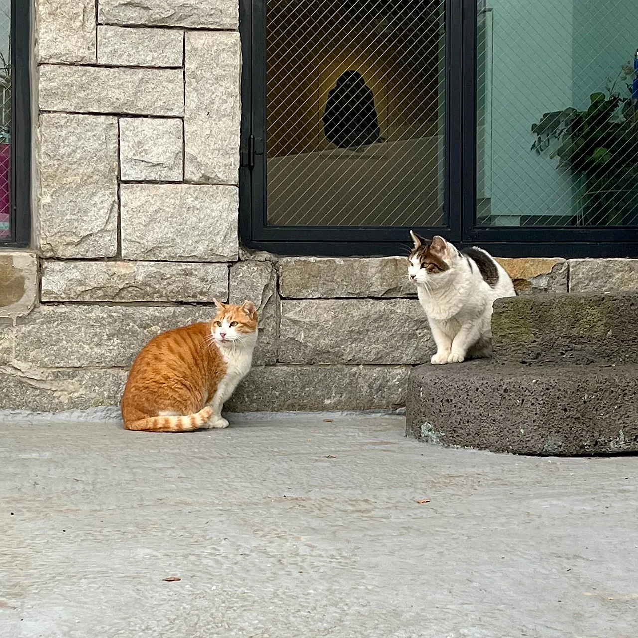 IMG%EF%BC%BF9713.jpg?type=w1600