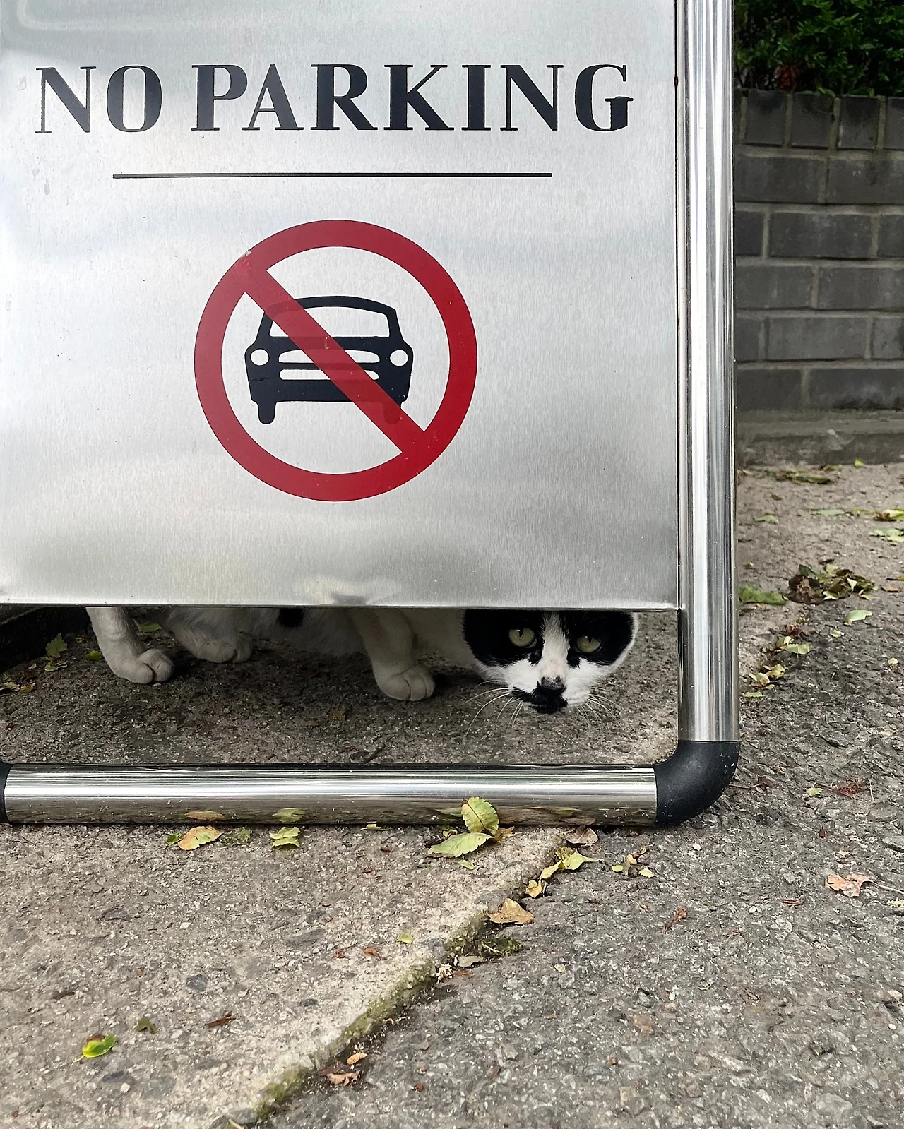 IMG%EF%BC%BF4372.jpg?type=w1600