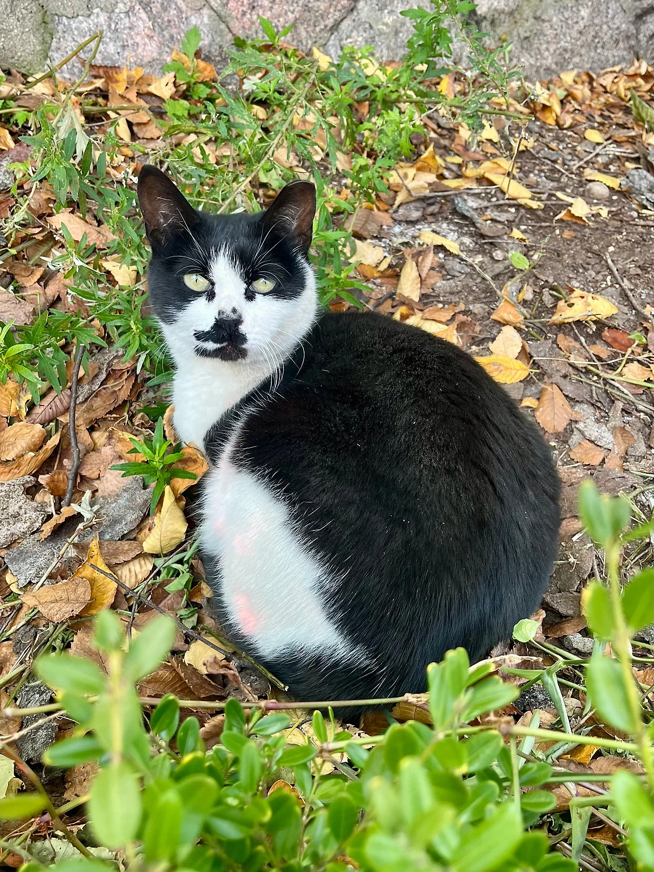 IMG%EF%BC%BF3815.jpg?type=w1600