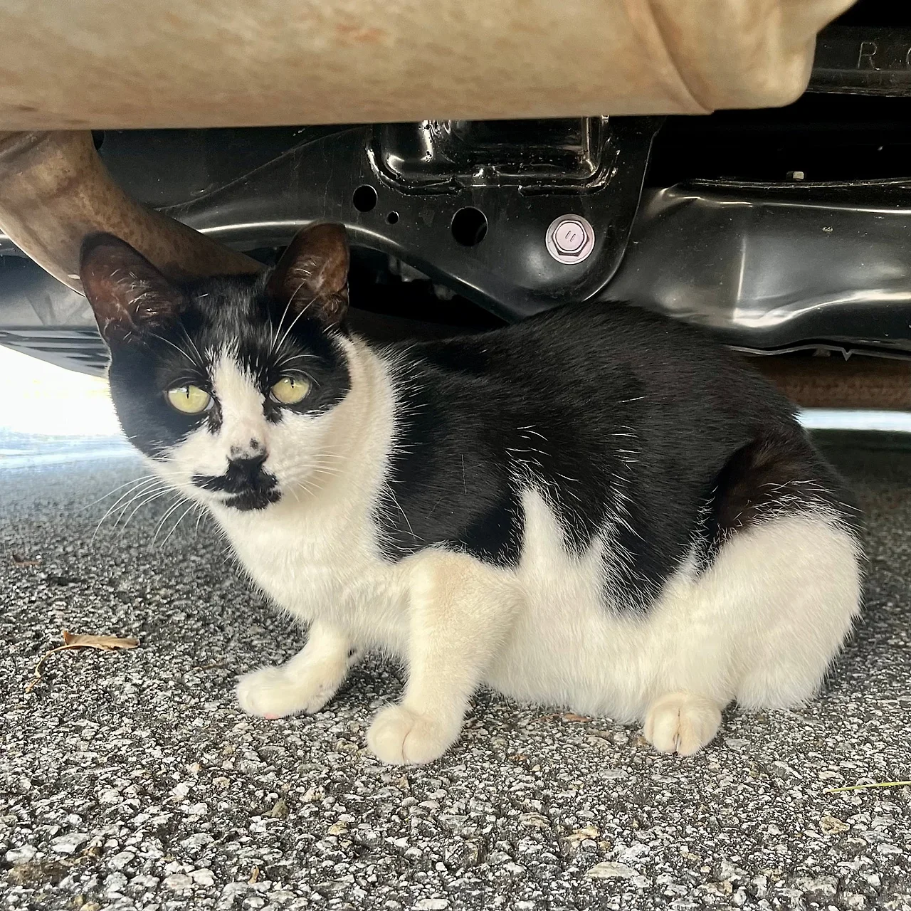 IMG%EF%BC%BF1736.jpg?type=w1600