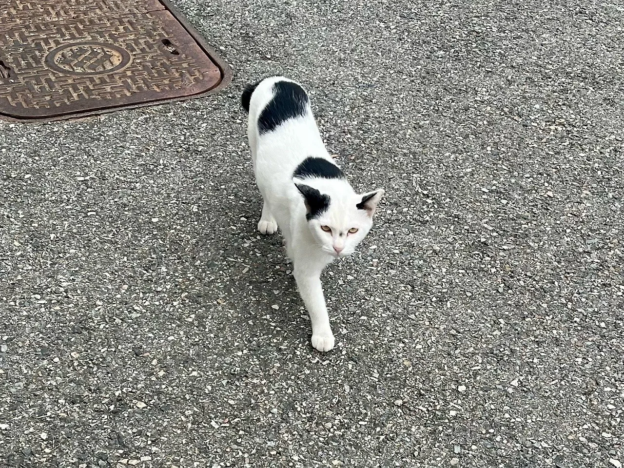 output%EF%BC%BF4183075063.jpg?type=w1600