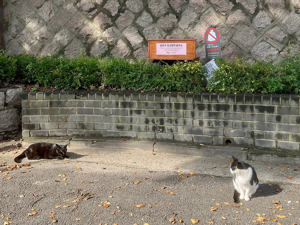 SE-0280E138-8298-4249-A6DC-BD019D429B63.jpg?type=w1600