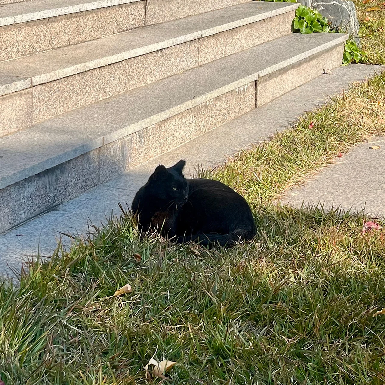 IMG%EF%BC%BF5281.jpg?type=w1600