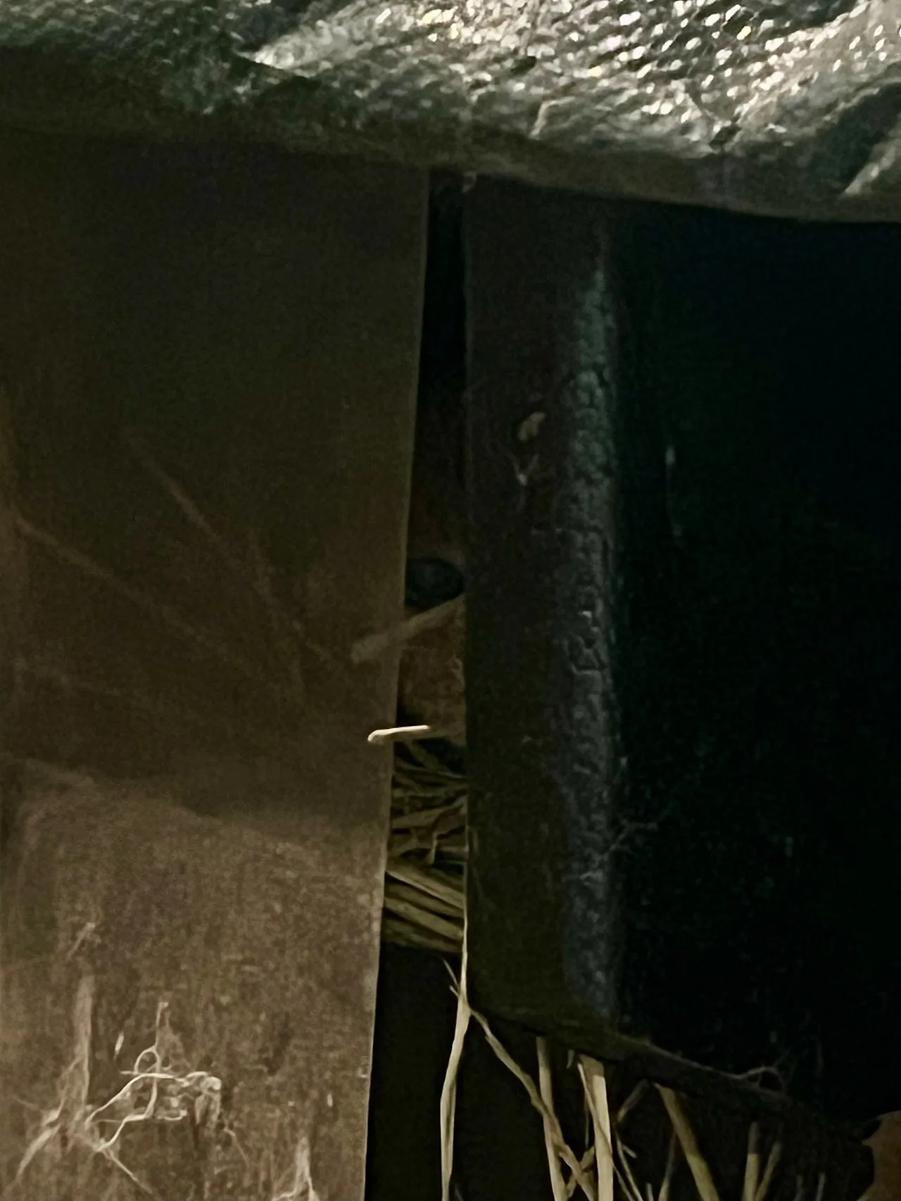 IMG%EF%BC%BF9746.jpg?type=w1600