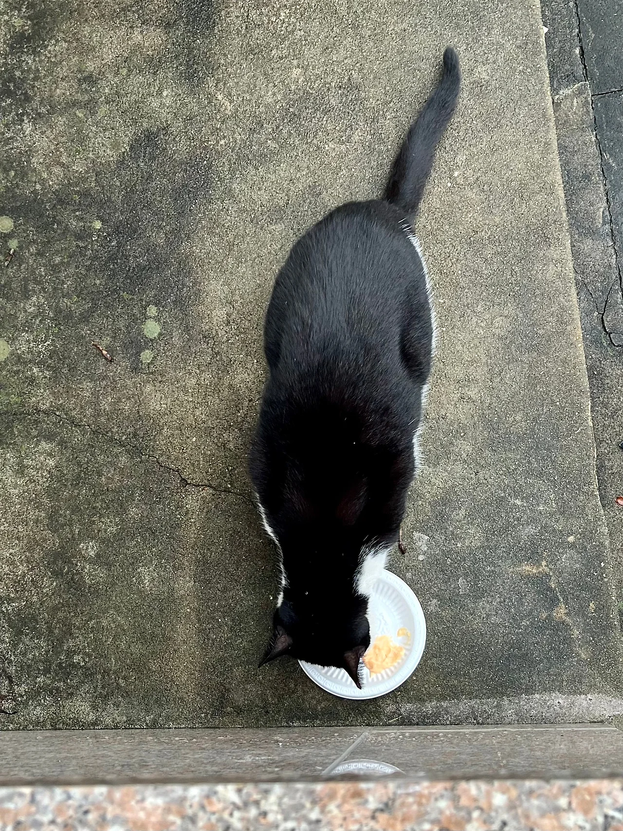 IMG%EF%BC%BF3132.jpg?type=w1600