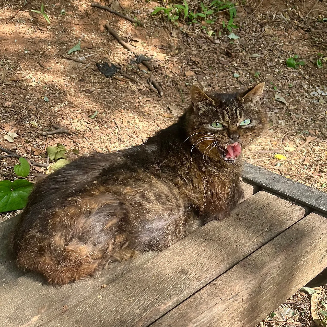 IMG%EF%BC%BF5851.jpg?type=w1600