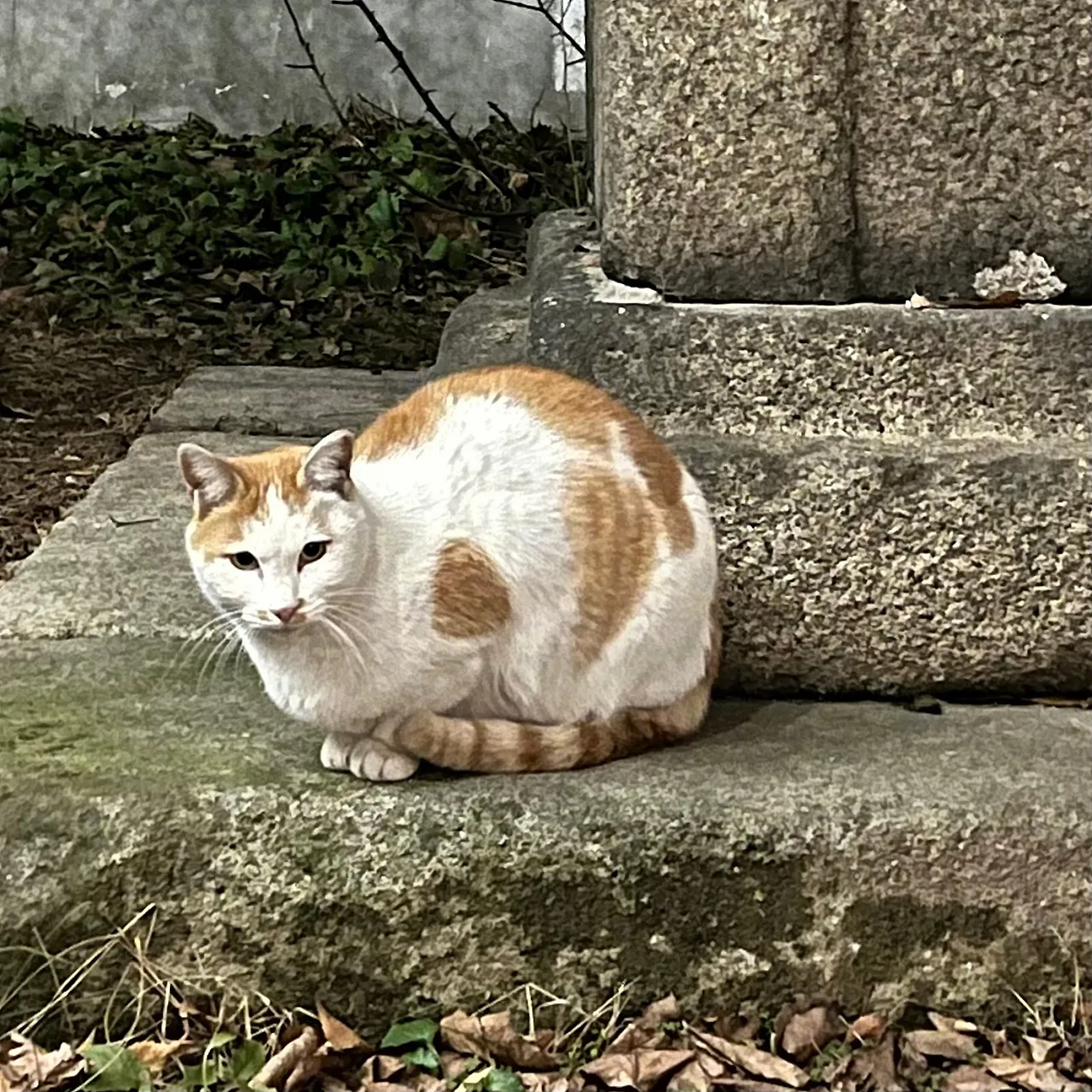 IMG%EF%BC%BF9634.jpg?type=w1600