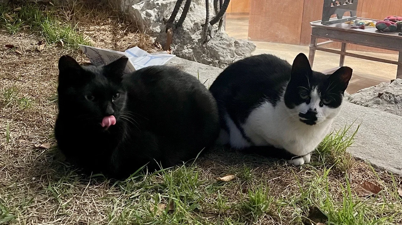 output%EF%BC%BF3899247996.jpg?type=w1600