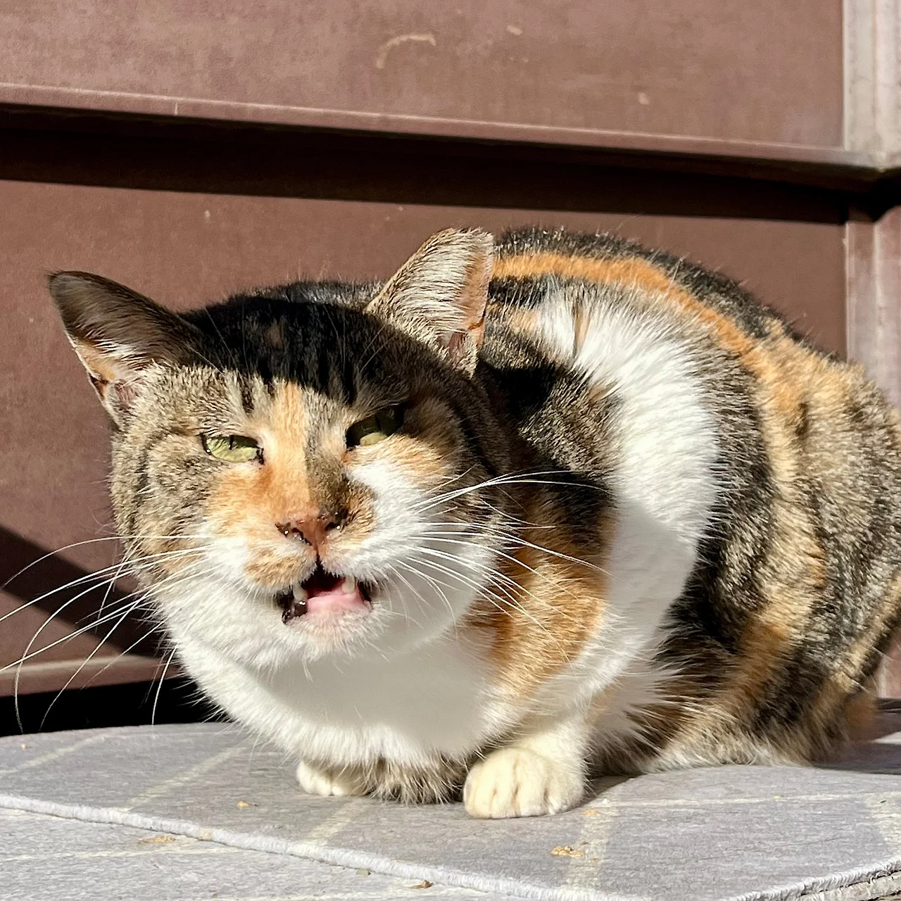 IMG%EF%BC%BF0002.jpg?type=w1600