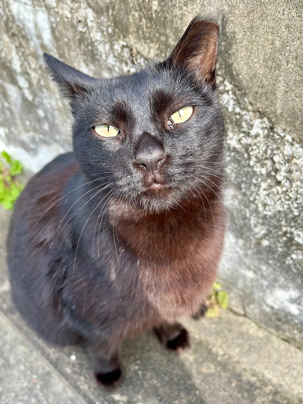 IMG%EF%BC%BF3593.jpg?type=w1600