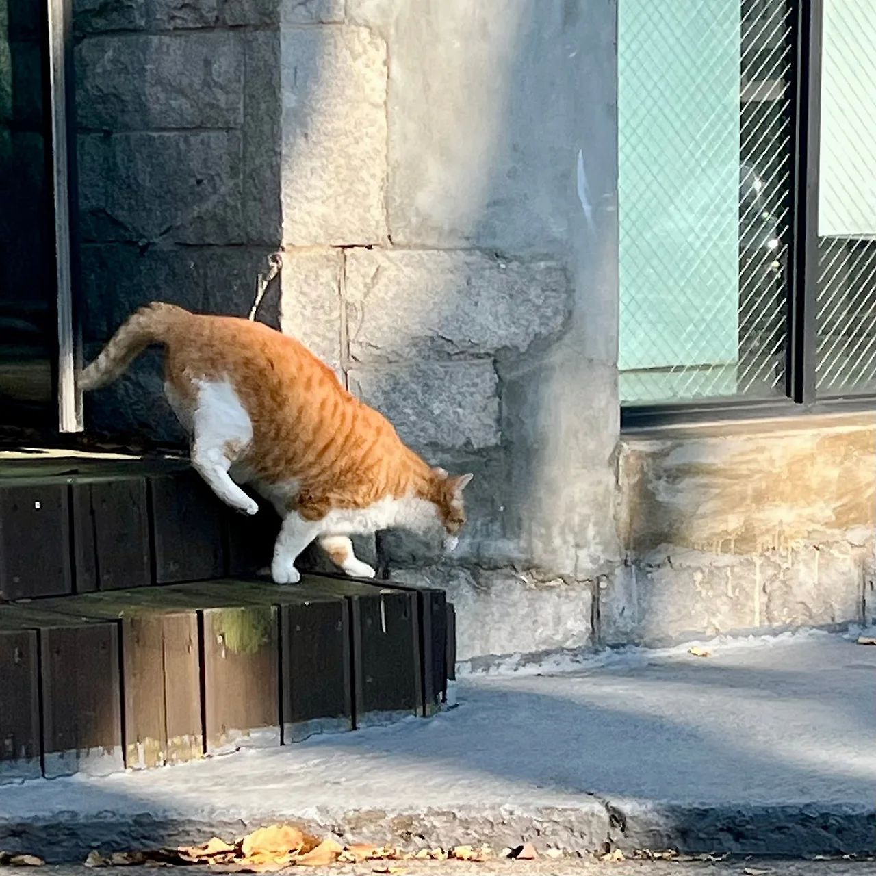 IMG%EF%BC%BF8972.jpg?type=w1600