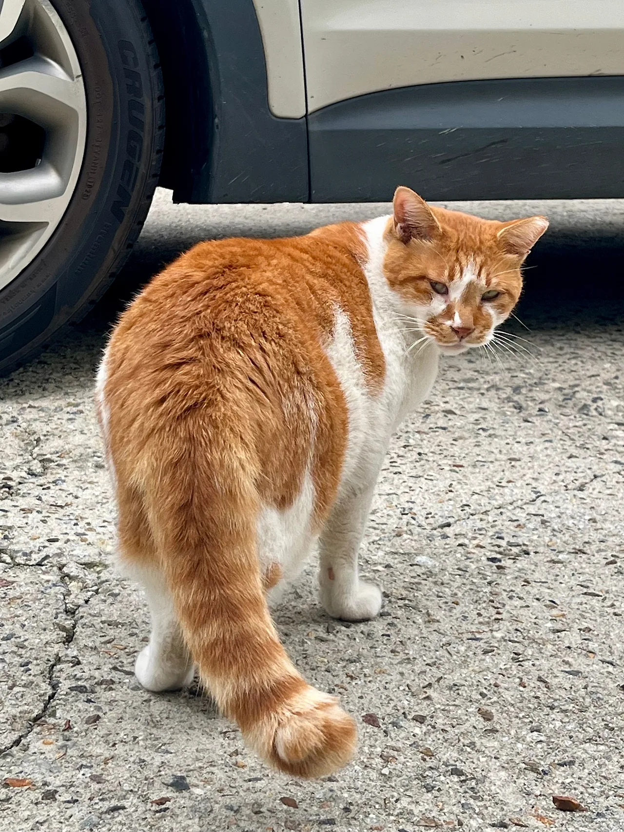 IMG%EF%BC%BF1620.jpg?type=w1600