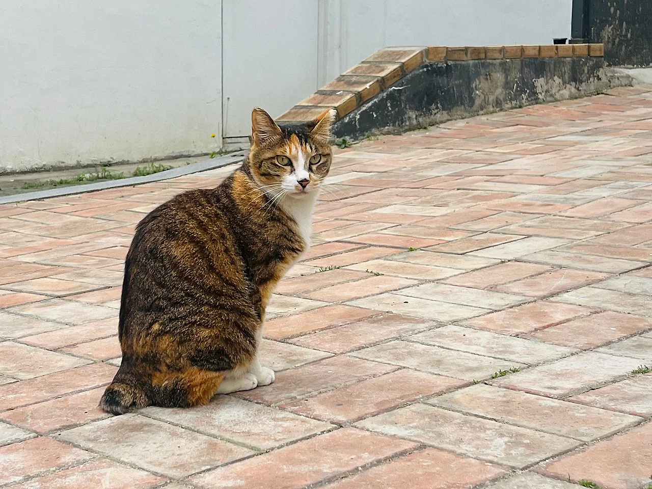 IMG%EF%BC%BF5480.jpg?type=w1600