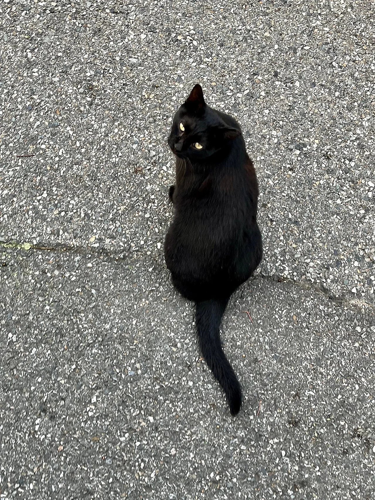 IMG%EF%BC%BF1564.jpg?type=w1600