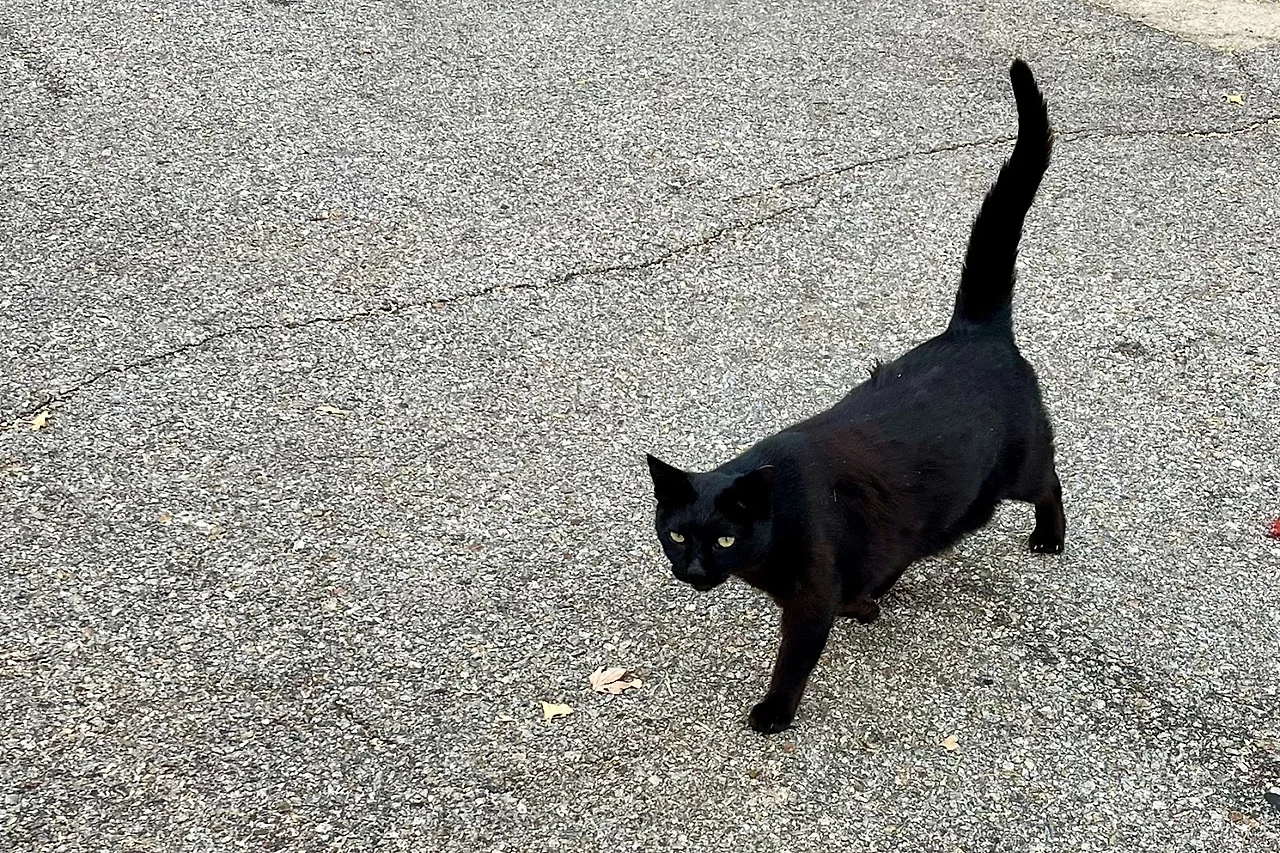 SE-B0F0214A-8DB0-494A-B13F-F45BC07E048F.jpg?type=w1600