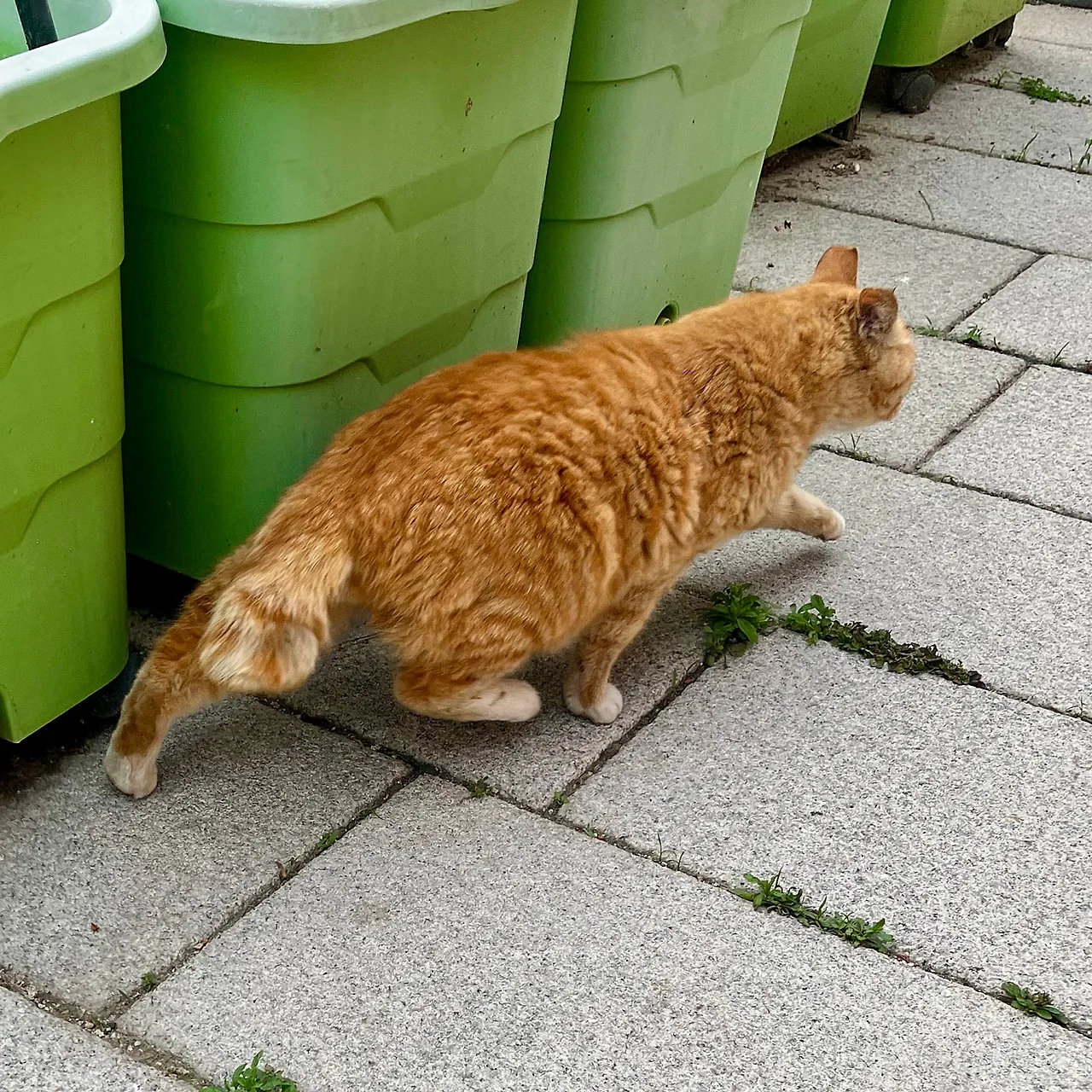 IMG%EF%BC%BF4515.jpg?type=w1600