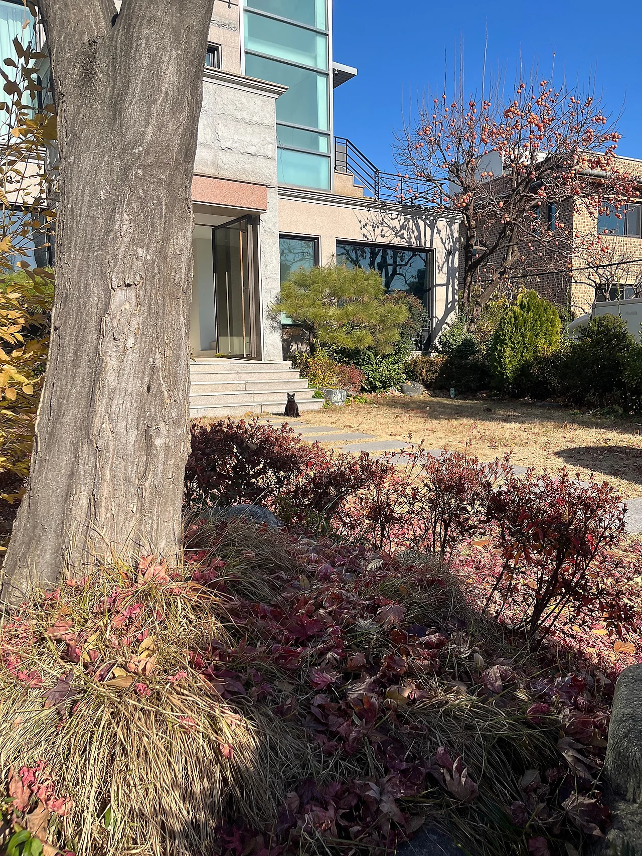 IMG%EF%BC%BF8510.jpg?type=w1600