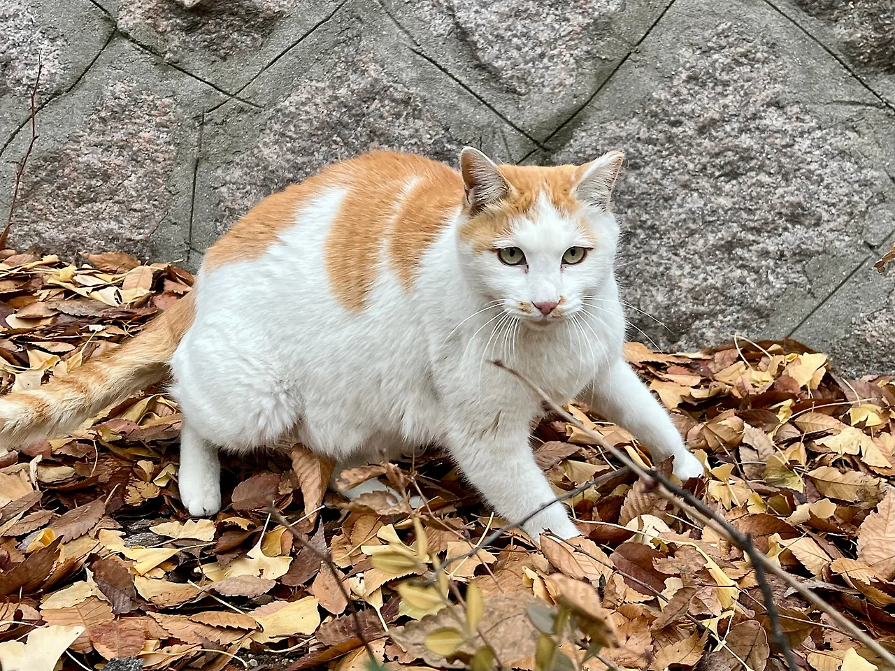 IMG%EF%BC%BF9283.jpg?type=w1600