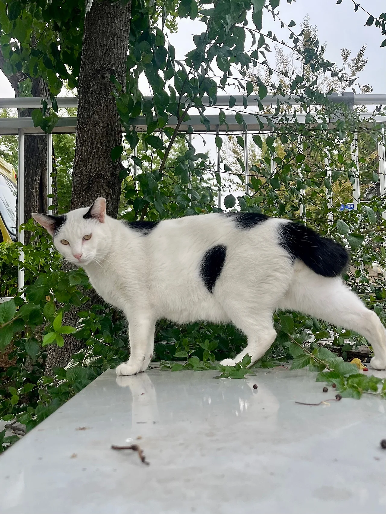 IMG%EF%BC%BF2793.jpg?type=w1600