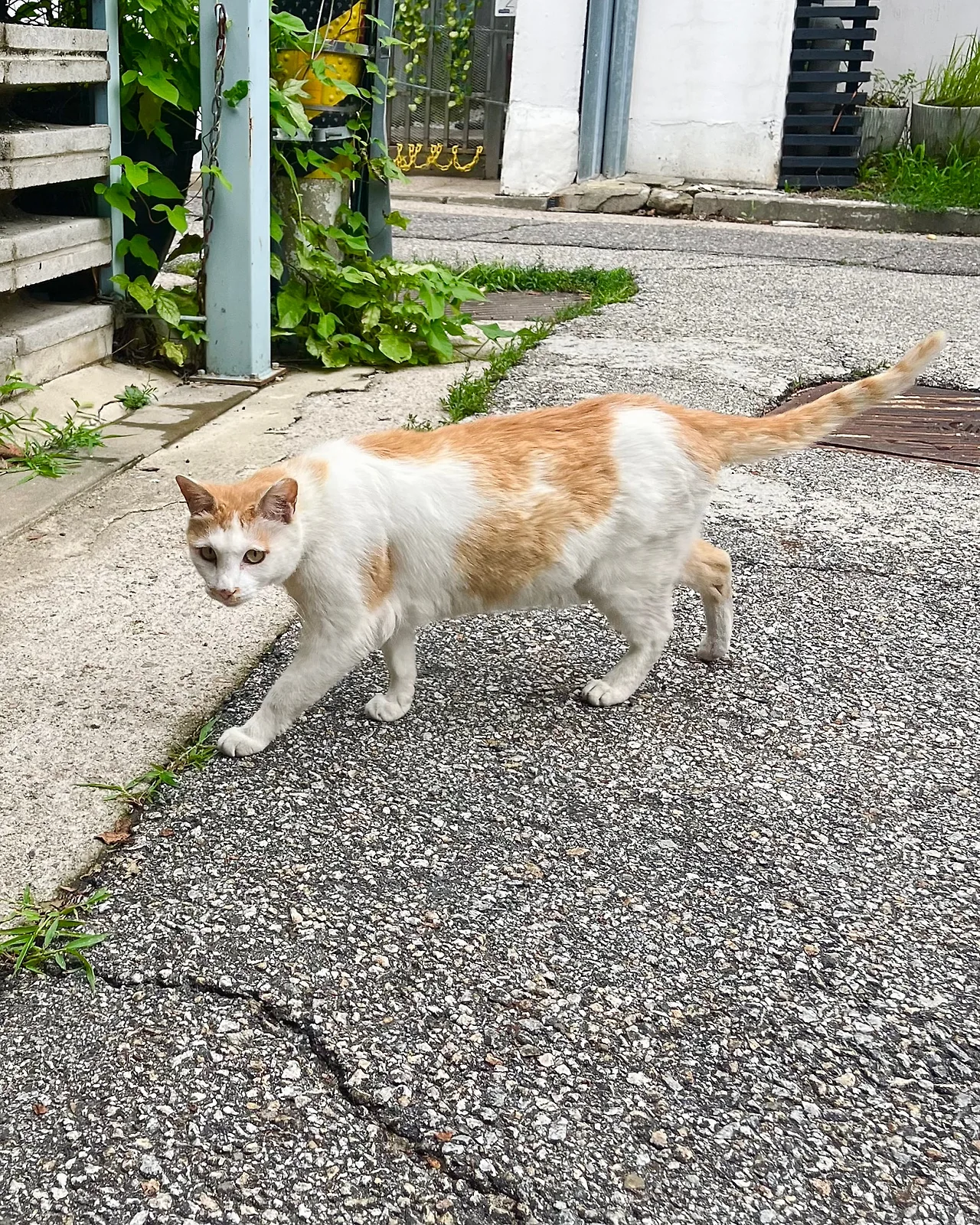 IMG%EF%BC%BF6864.jpg?type=w1600