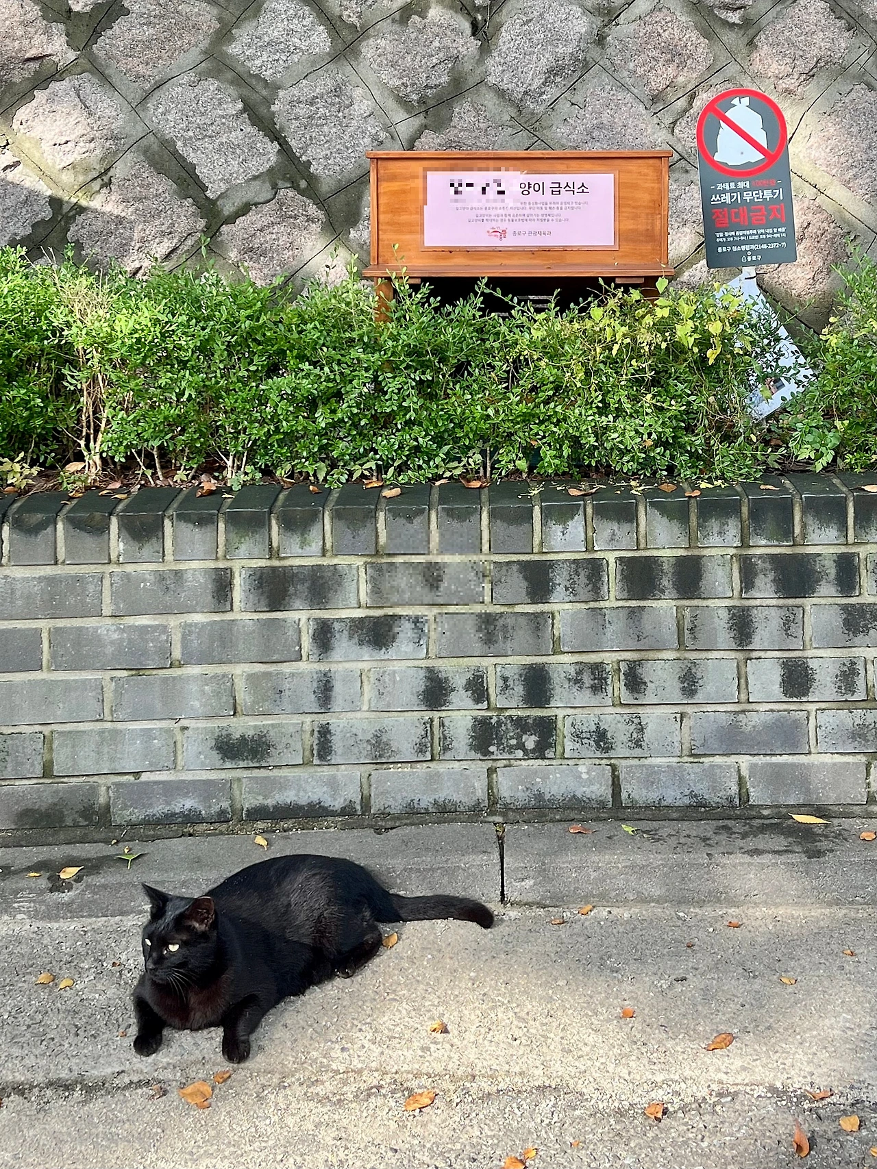 IMG%EF%BC%BF2282.jpg?type=w1600