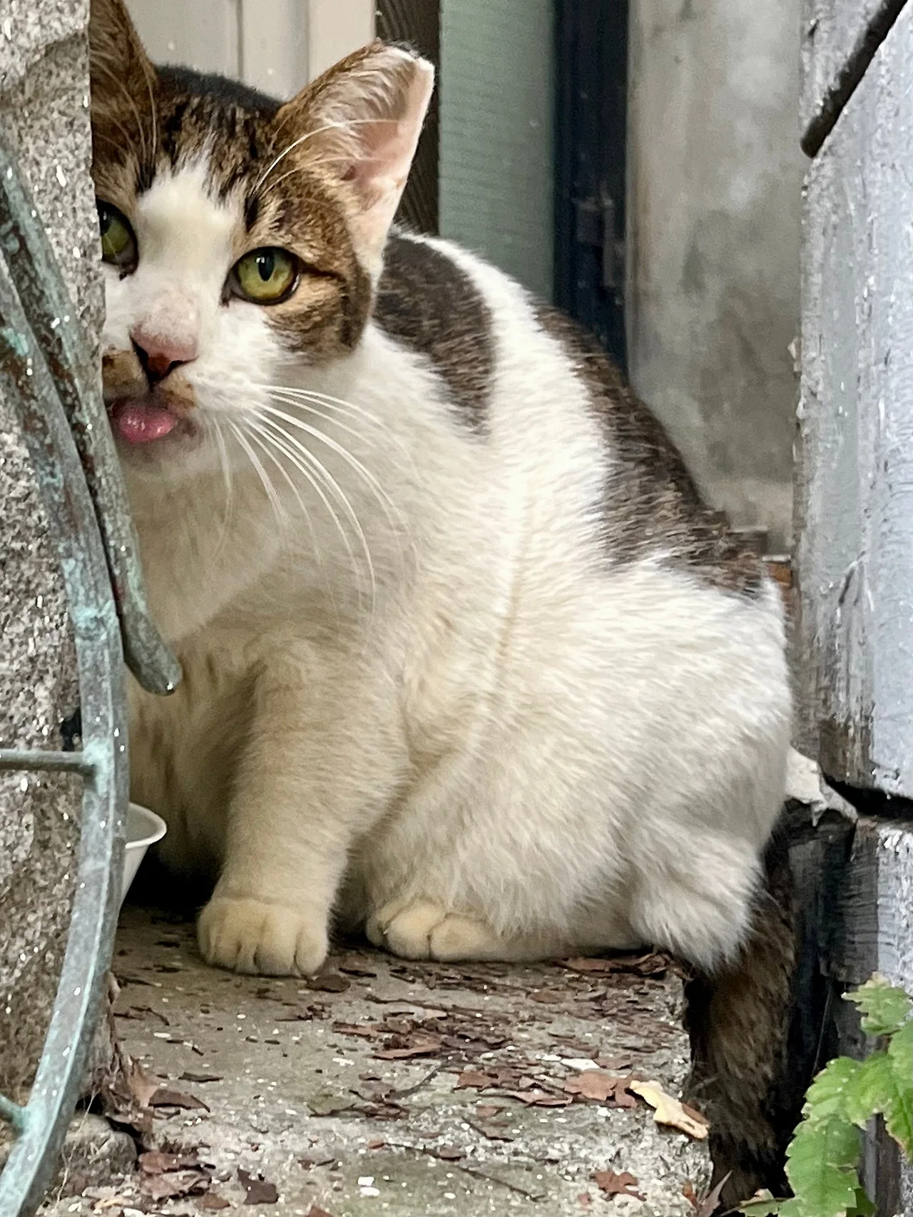 IMG%EF%BC%BF4227.jpg?type=w1600