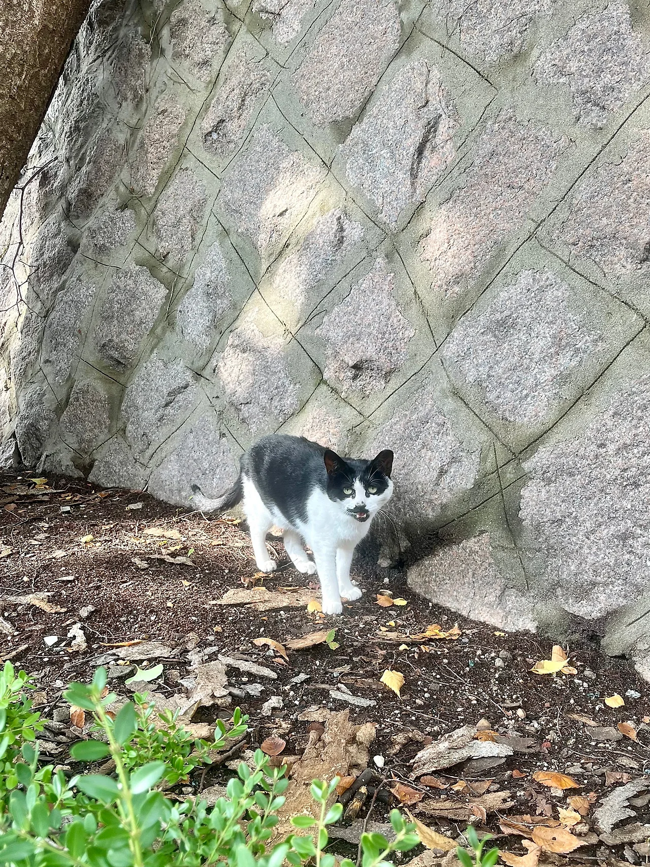 IMG%EF%BC%BF2240.jpg?type=w1600