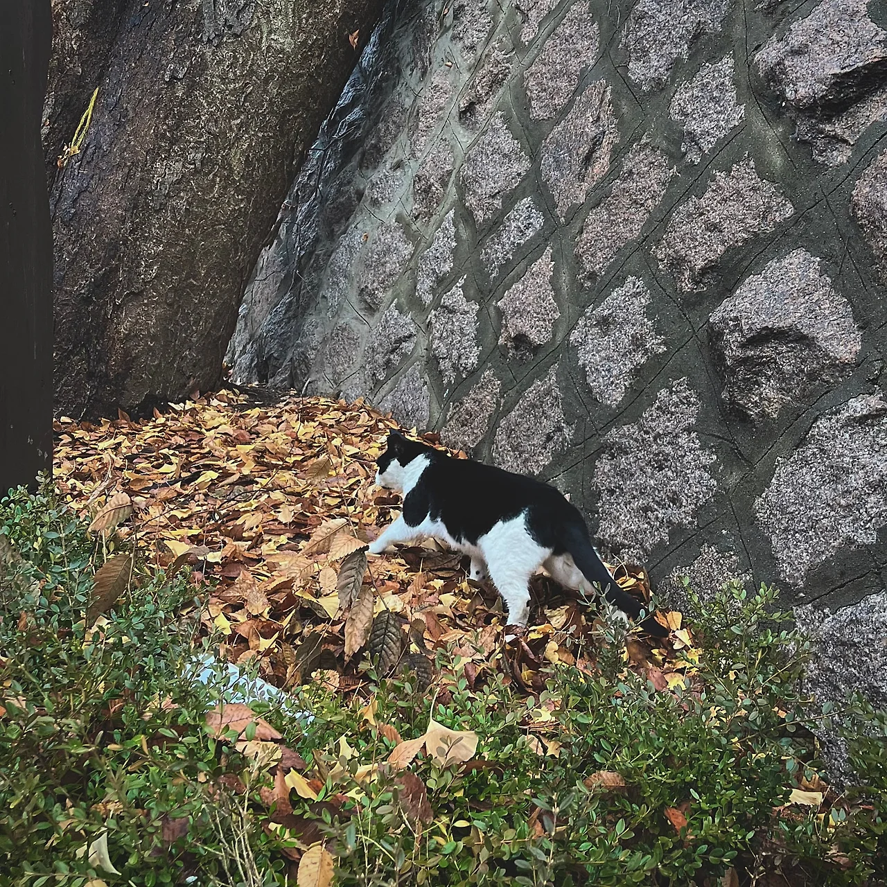 IMG%EF%BC%BF9314.jpg?type=w1600