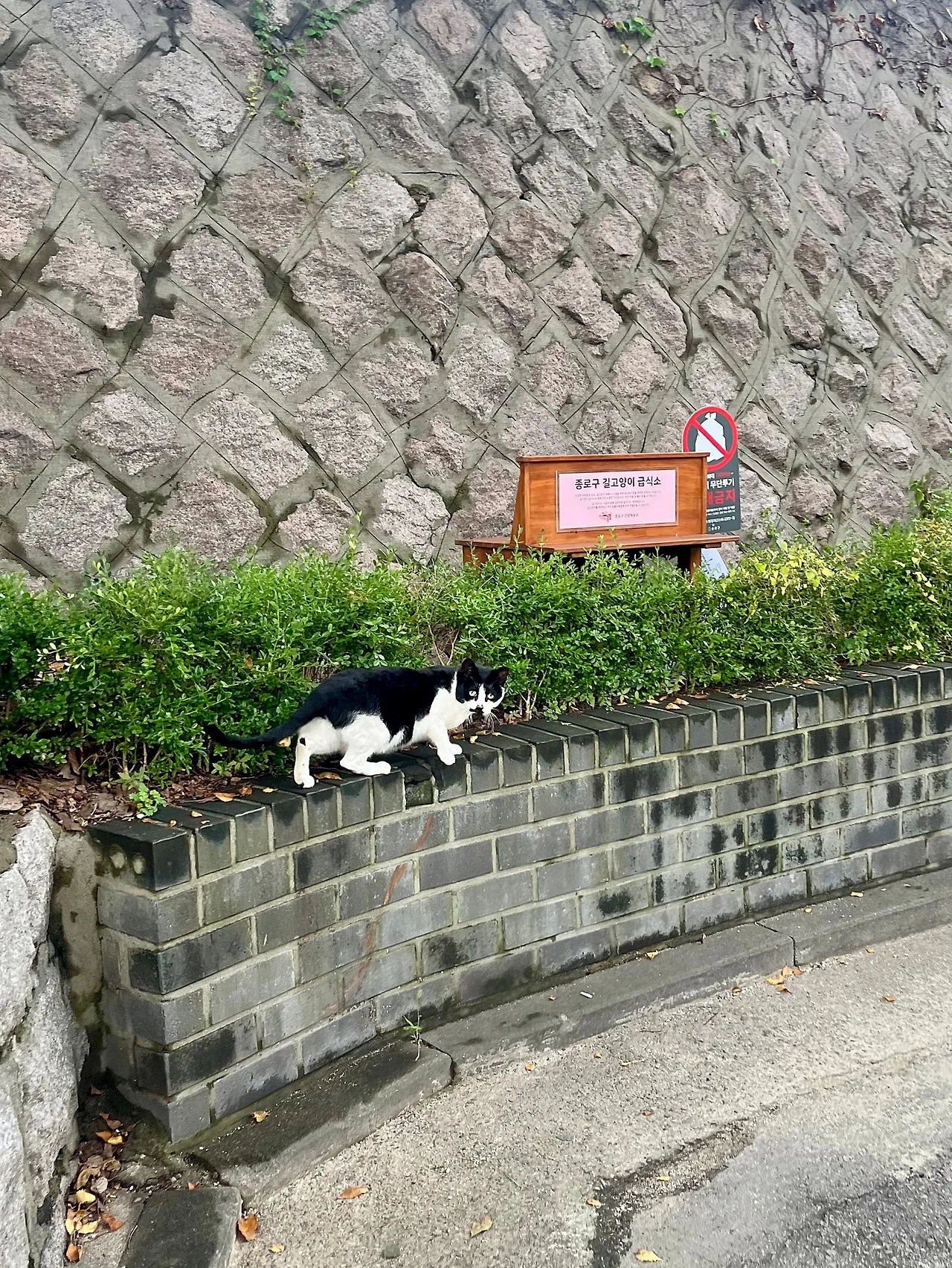 IMG%EF%BC%BF2293.jpg?type=w1600