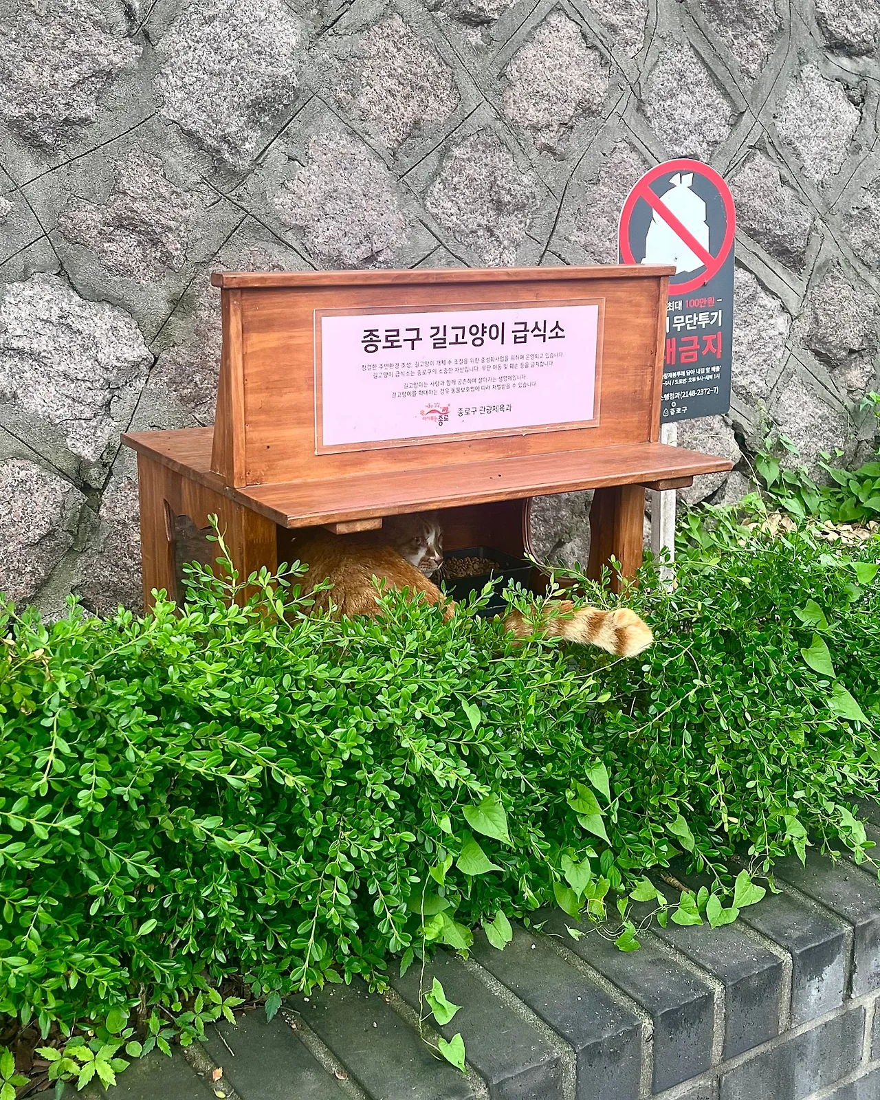 IMG_4712.jpg?type=w1600