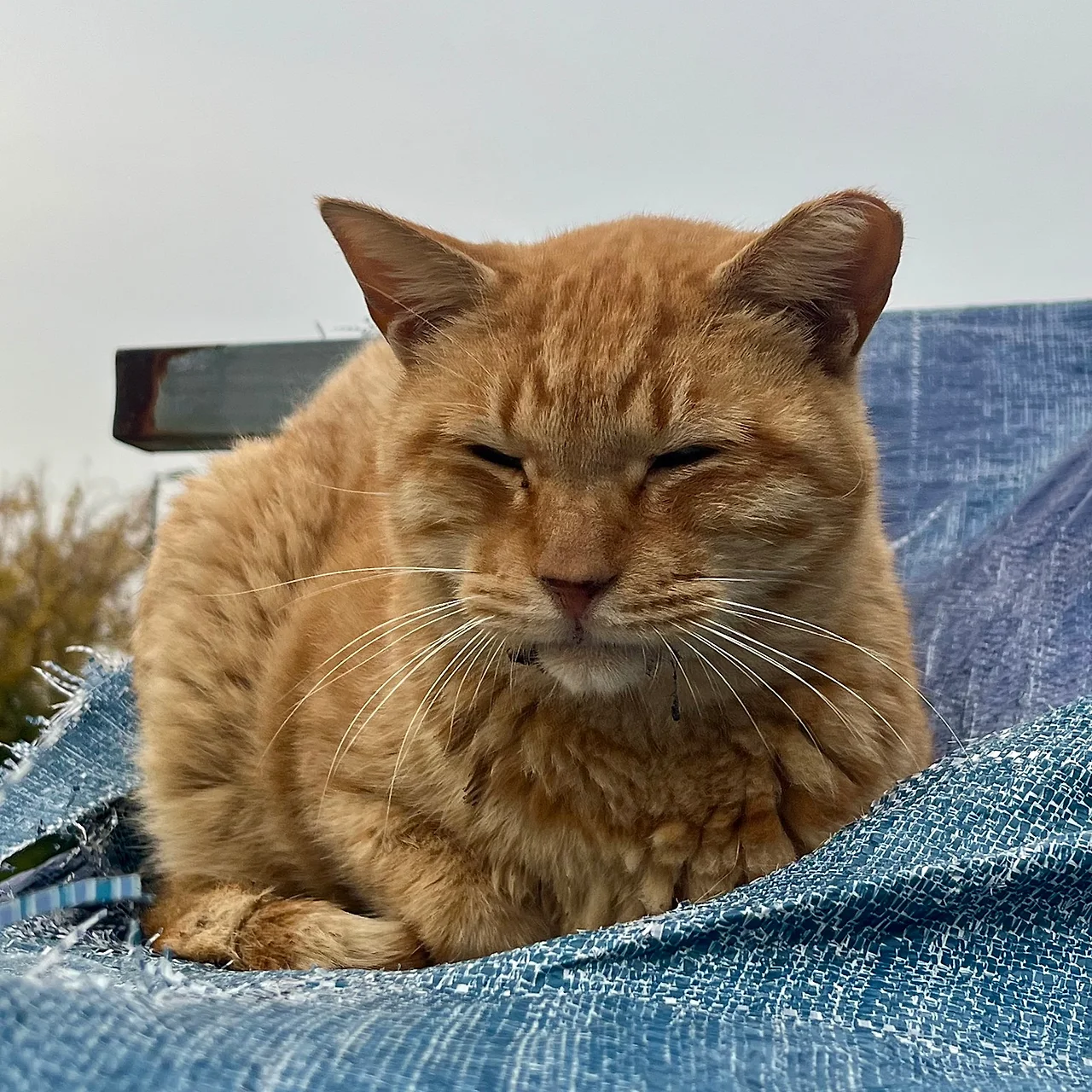 IMG%EF%BC%BF4824.jpg?type=w1600