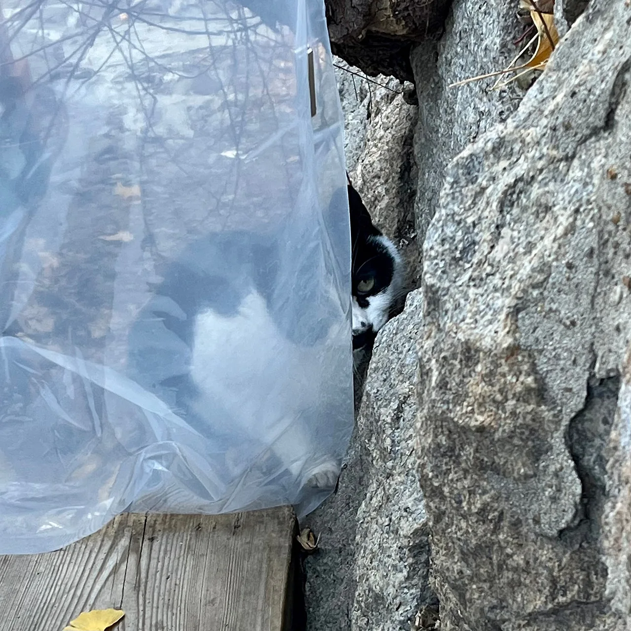 IMG%EF%BC%BF9957.jpg?type=w1600