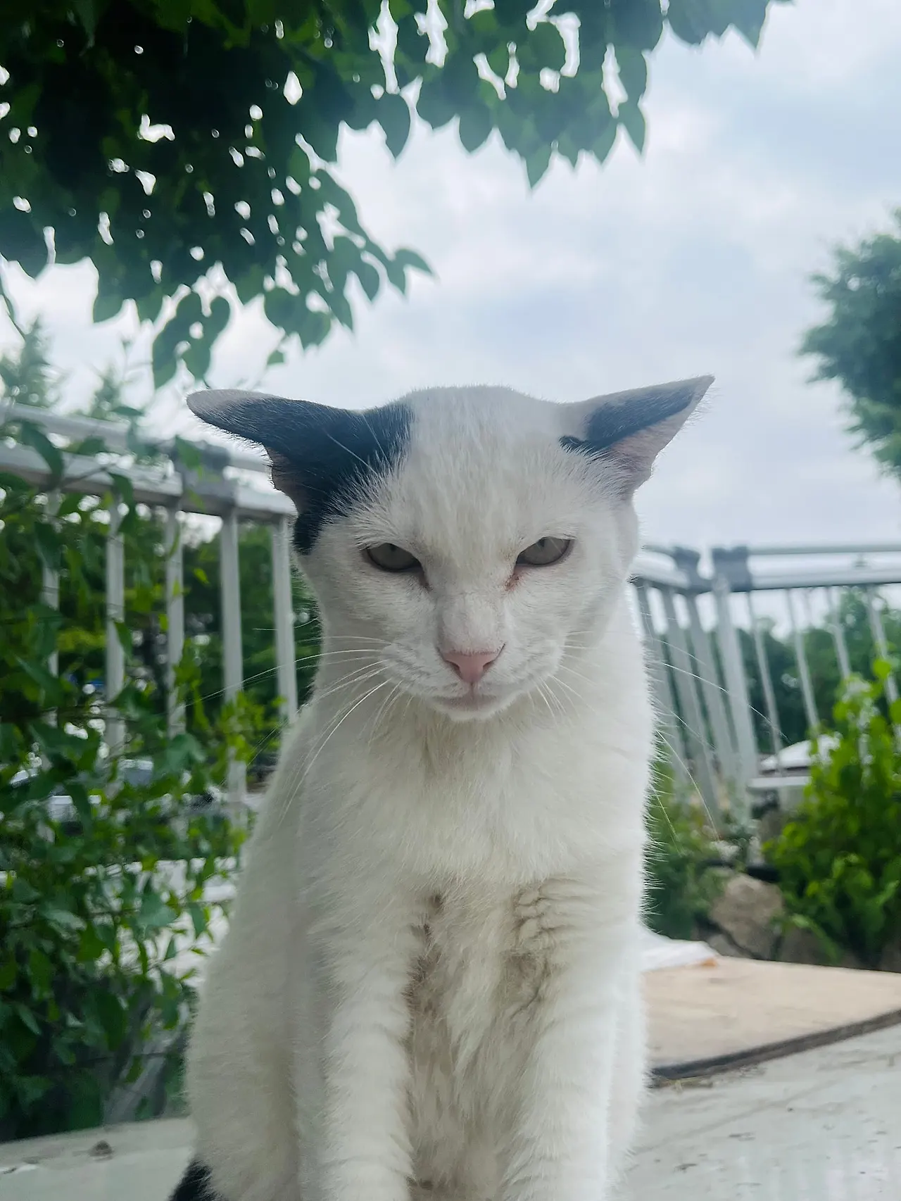 IMG%EF%BC%BF6889.jpg?type=w1600