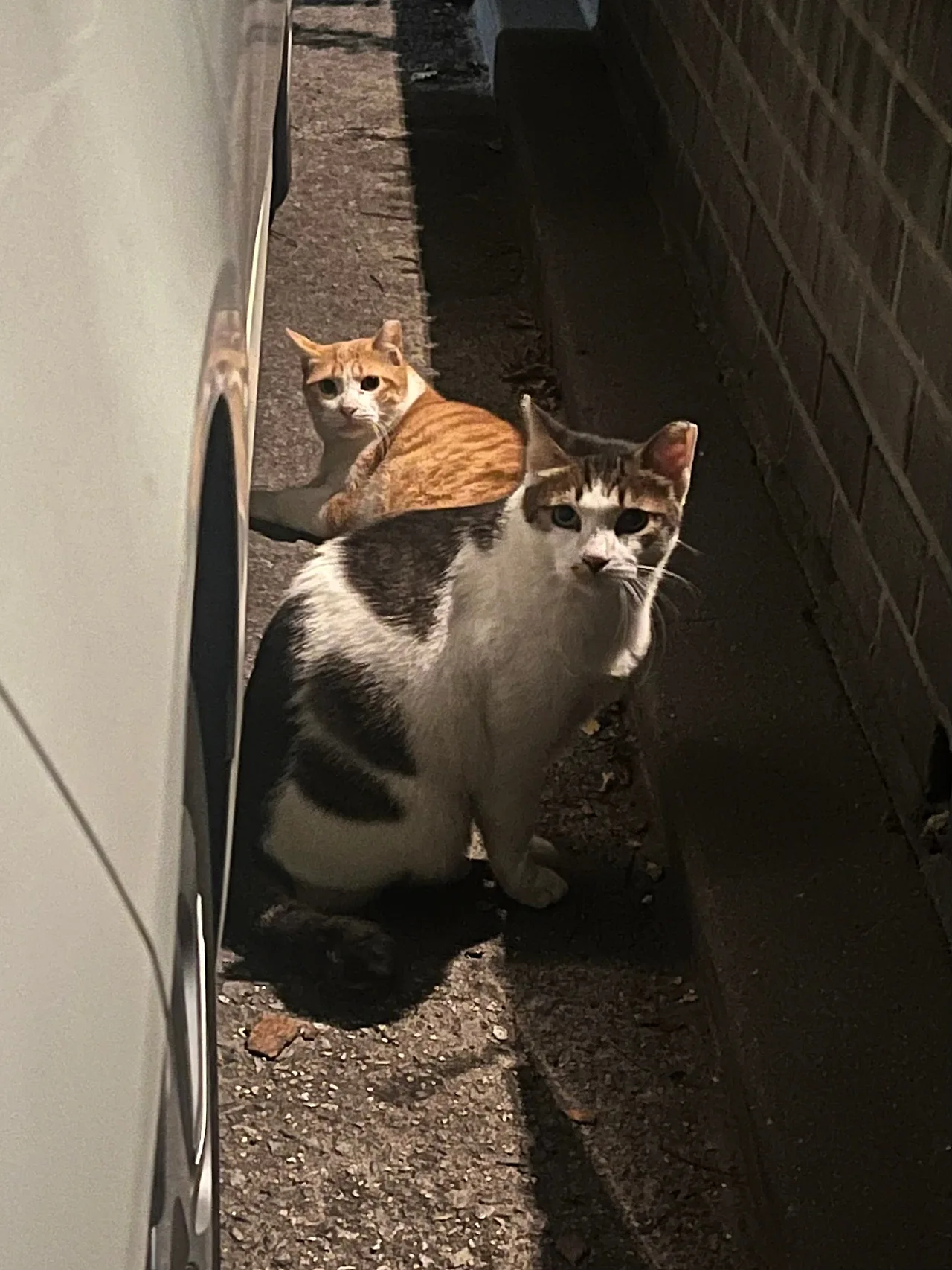 IMG%EF%BC%BF1436.jpg?type=w1600