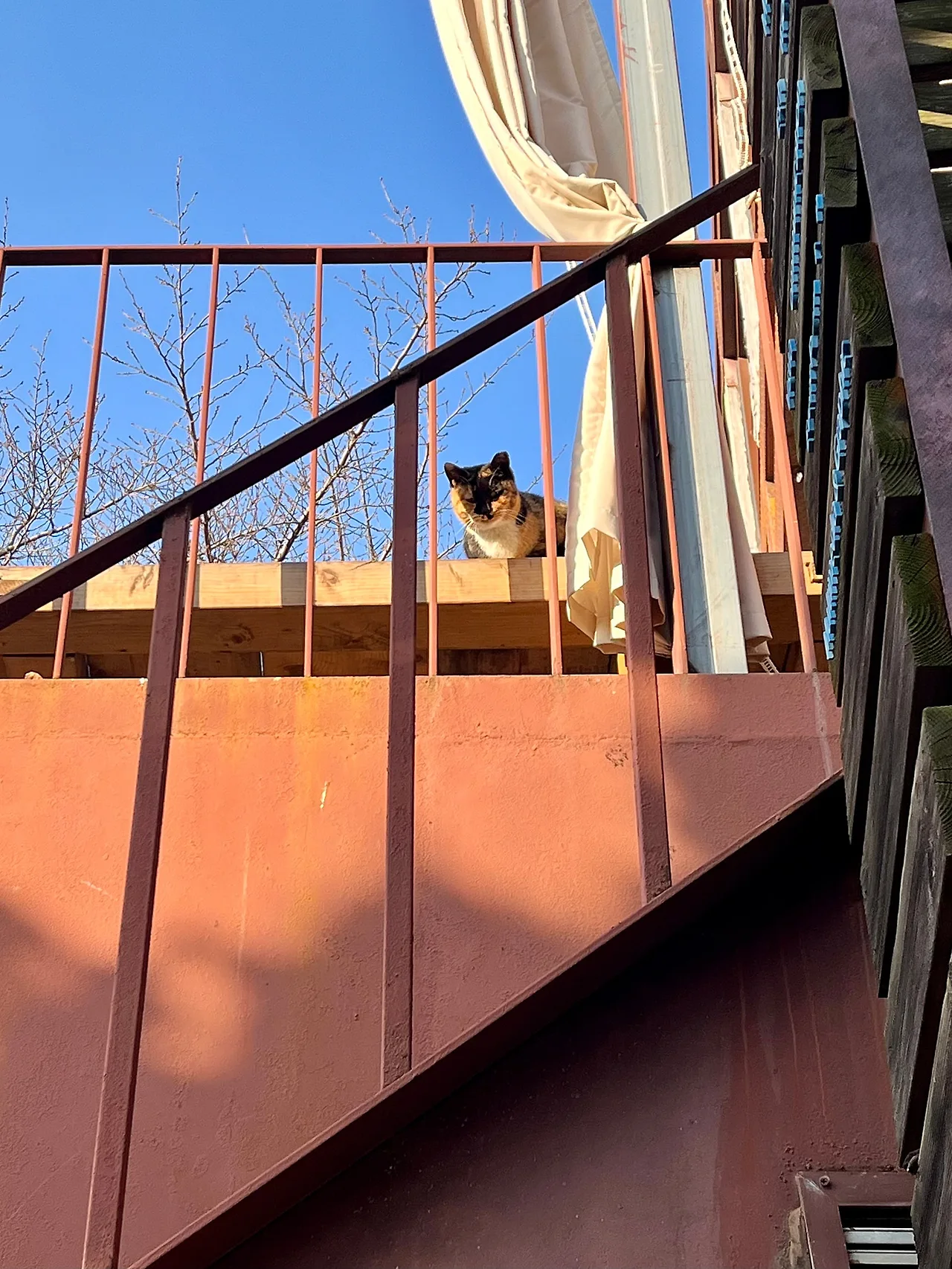 IMG%EF%BC%BF0924.jpg?type=w1600