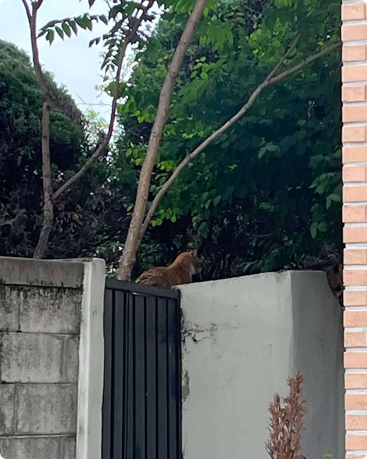 IMG_4519.jpg?type=w1600