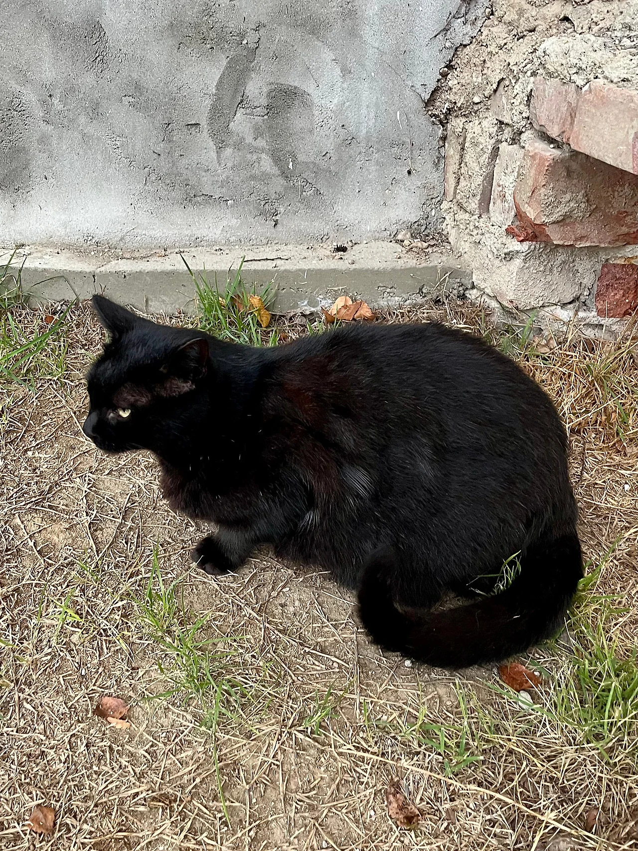 IMG%EF%BC%BF2974.jpg?type=w1600