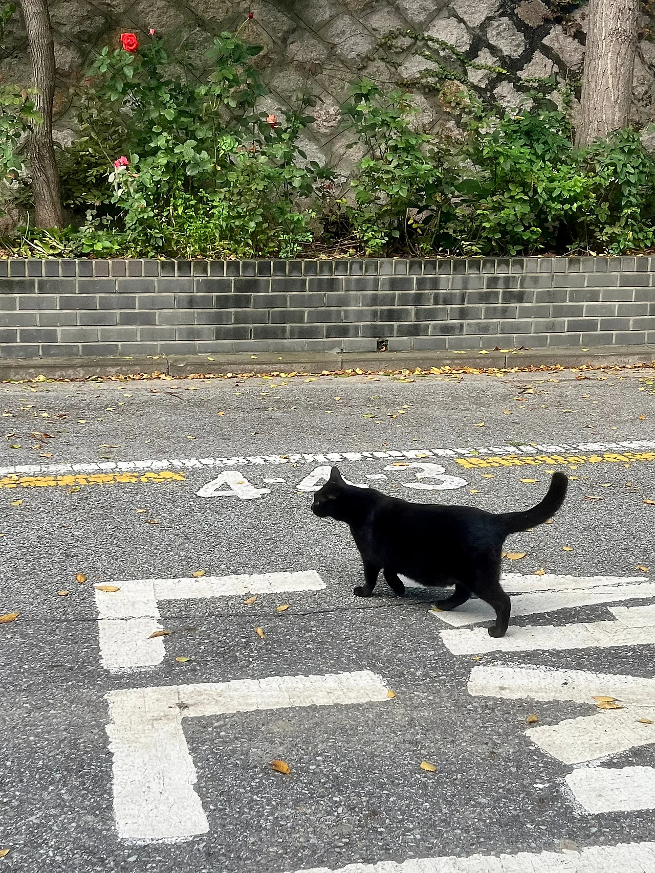 IMG%EF%BC%BF3343.jpg?type=w1600