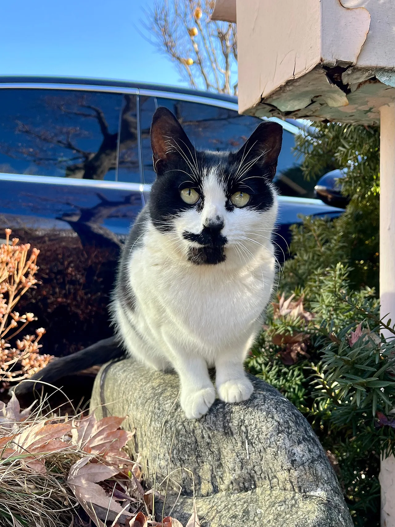 IMG%EF%BC%BF0753.jpg?type=w1600