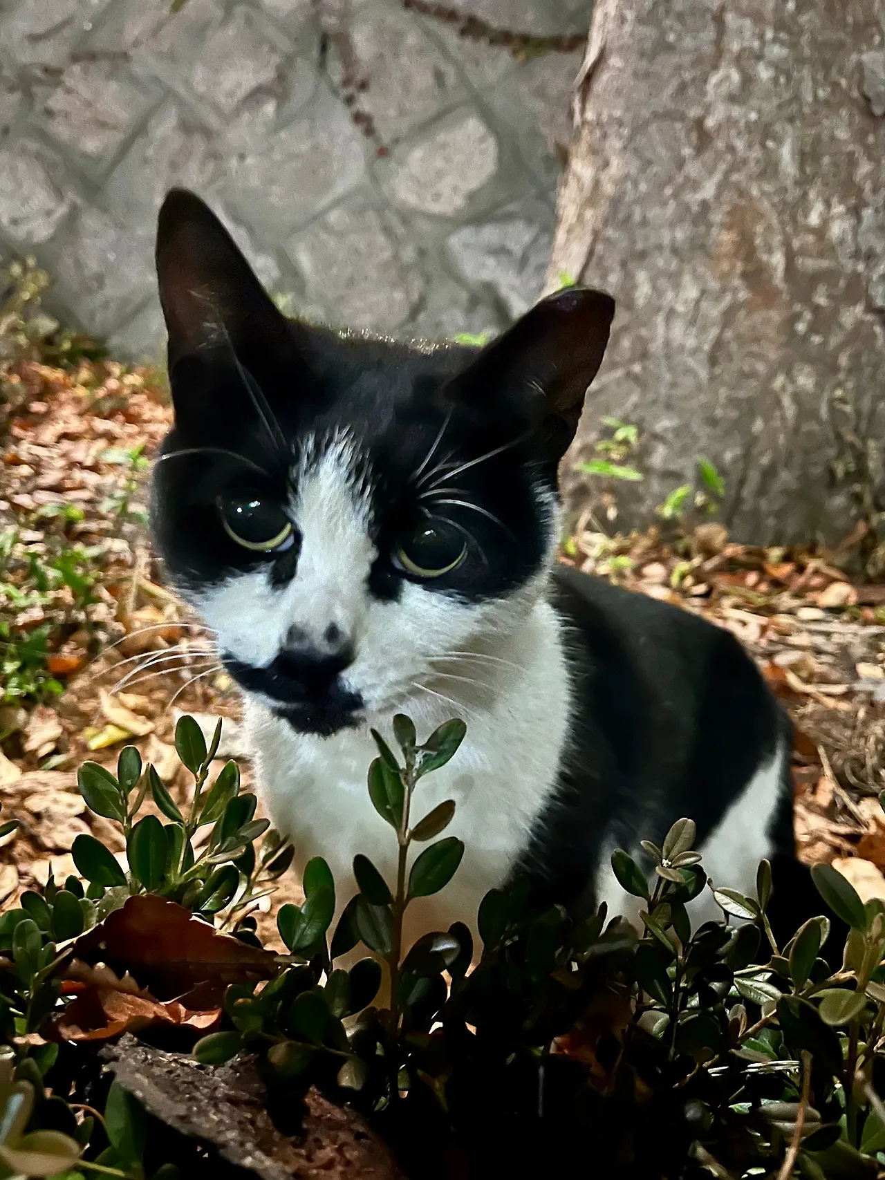 IMG%EF%BC%BF4582.jpg?type=w1600